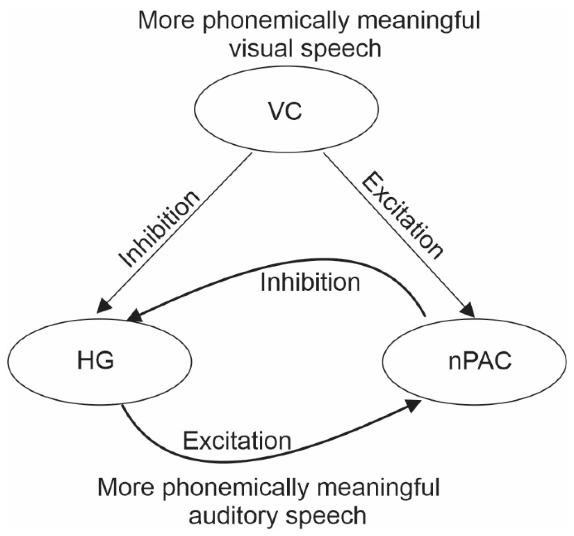 Brainsci 14 00095 g002