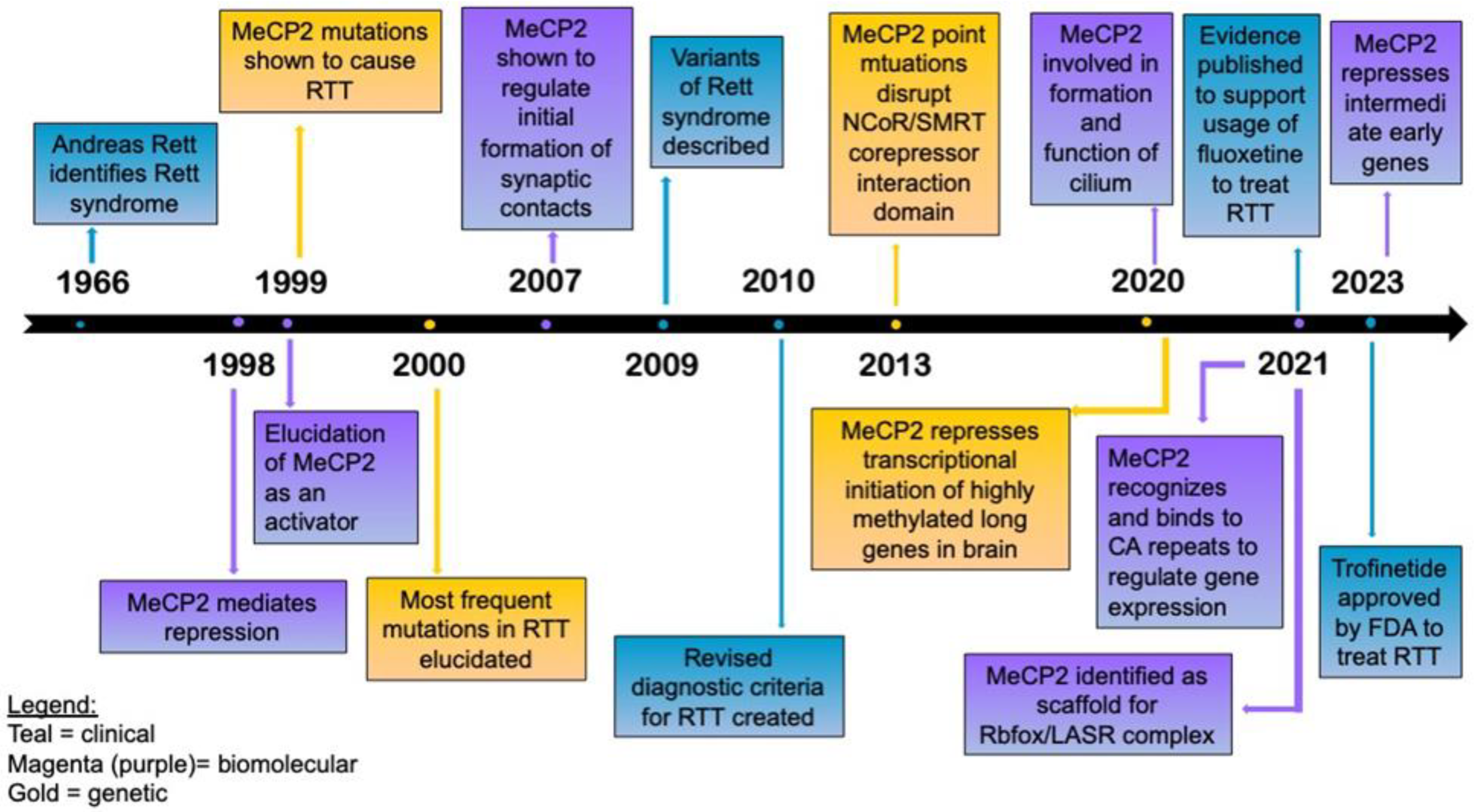 Brain Sciences Free Full Text Rett Syndrome and the Role of