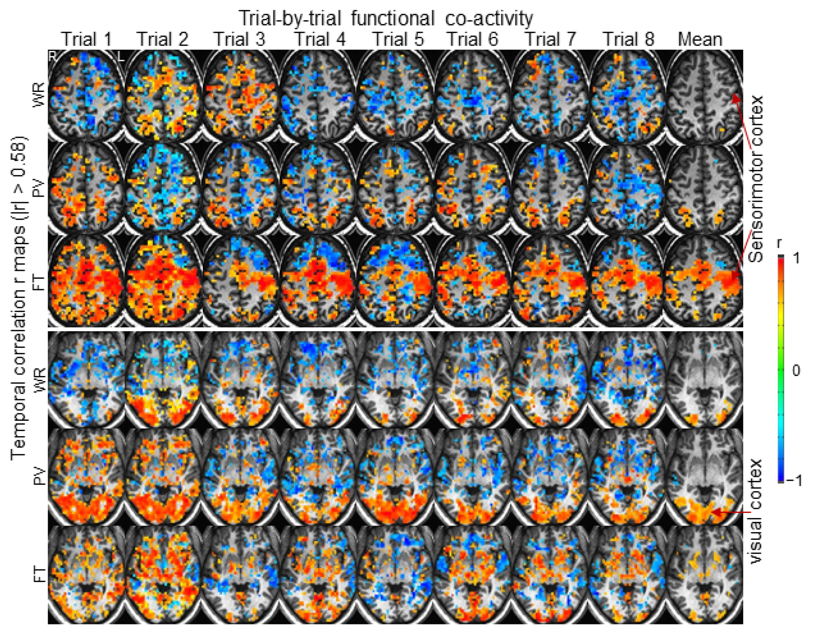 Brainsci 14 00125 g001