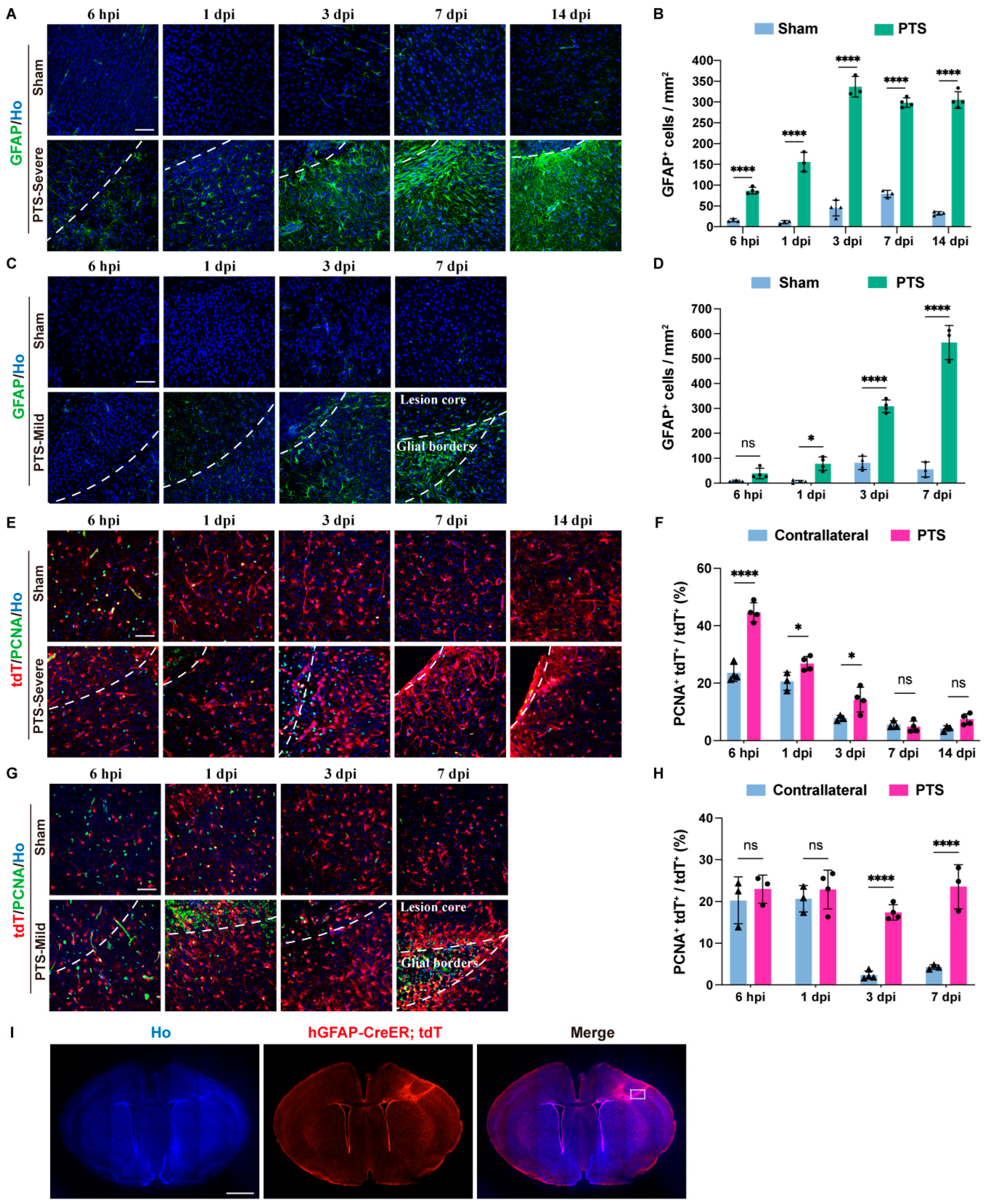 Brainsci 14 00152 g002