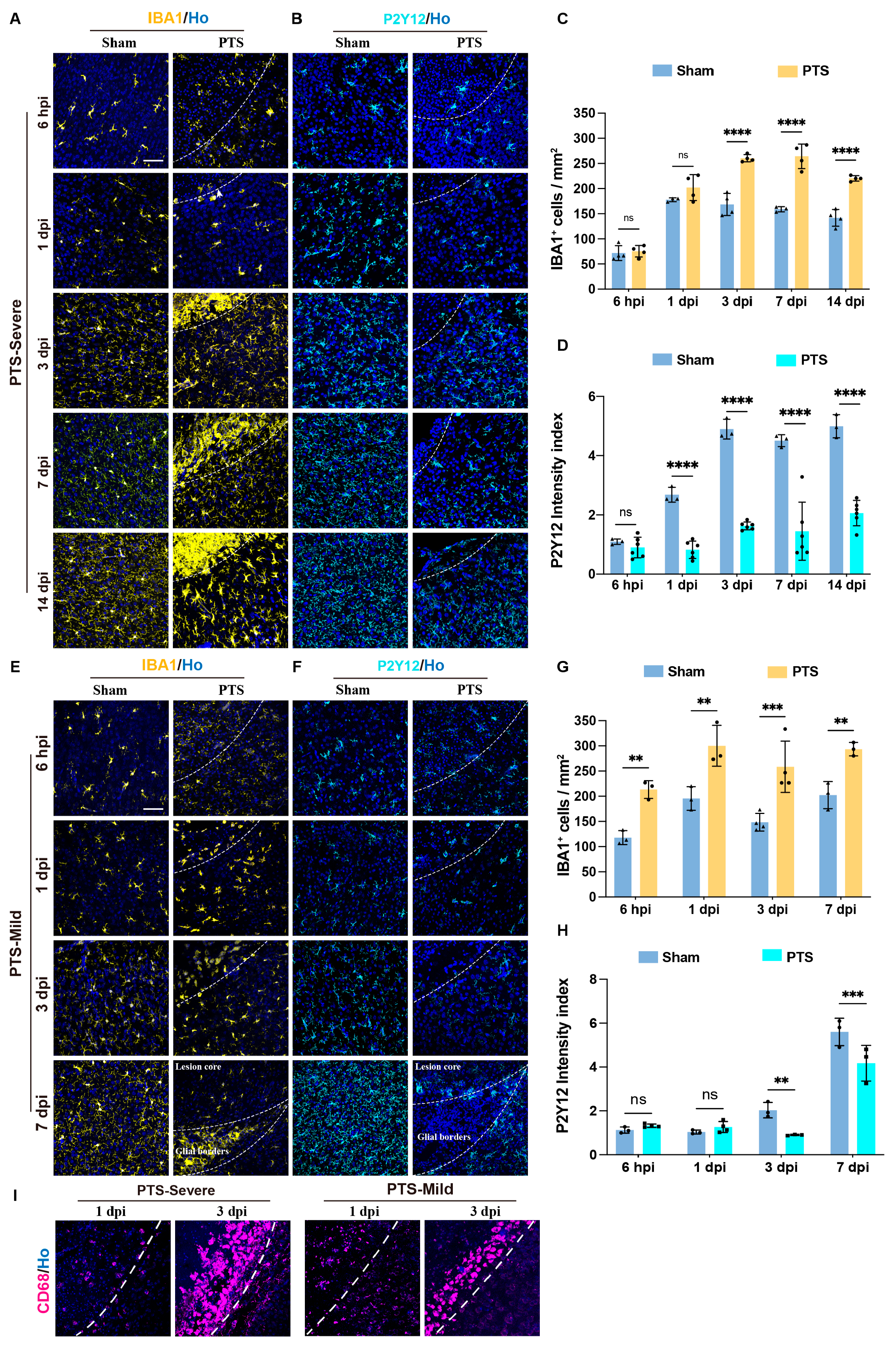 Brainsci 14 00152 g004