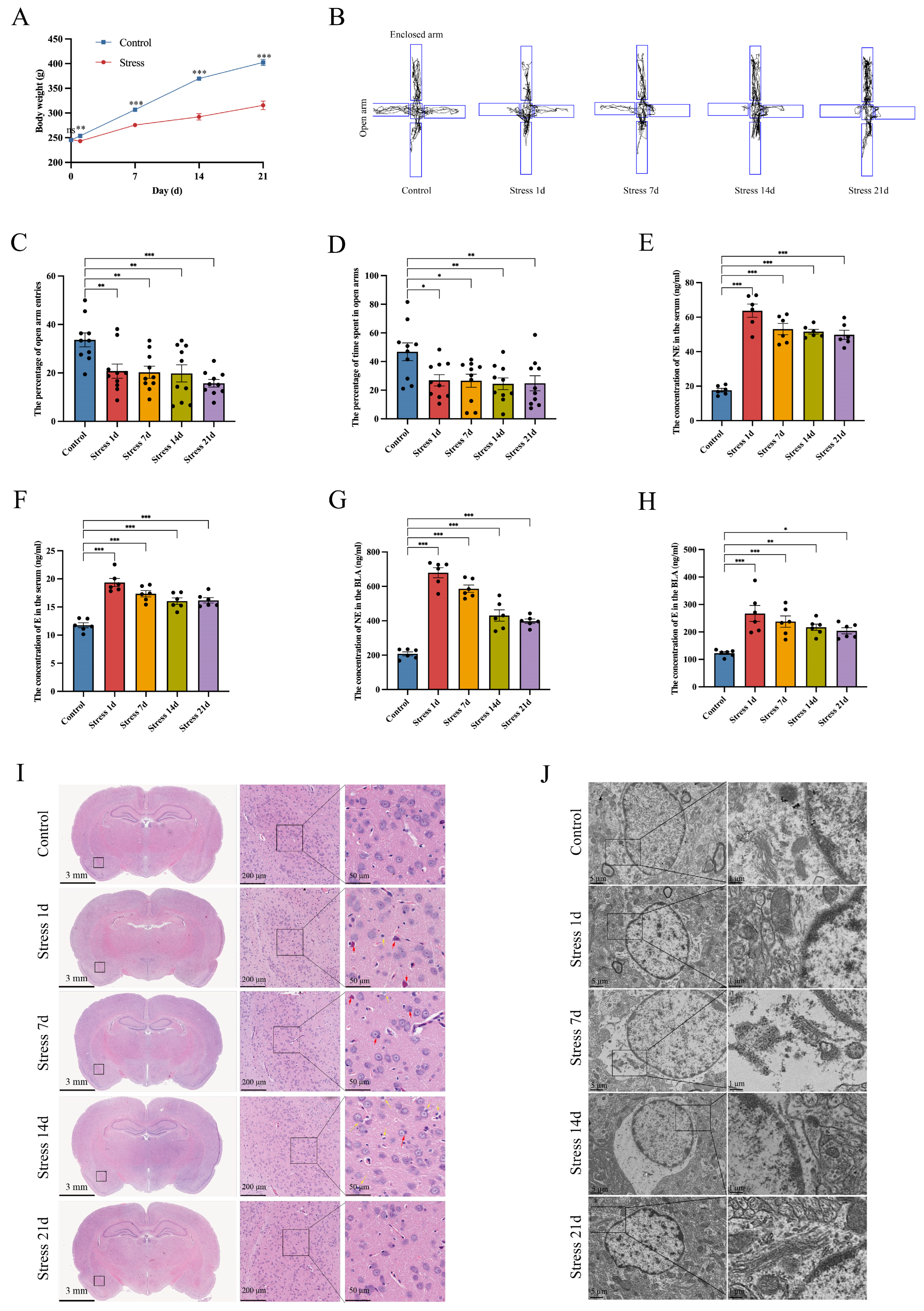 Brainsci 14 00161 g002