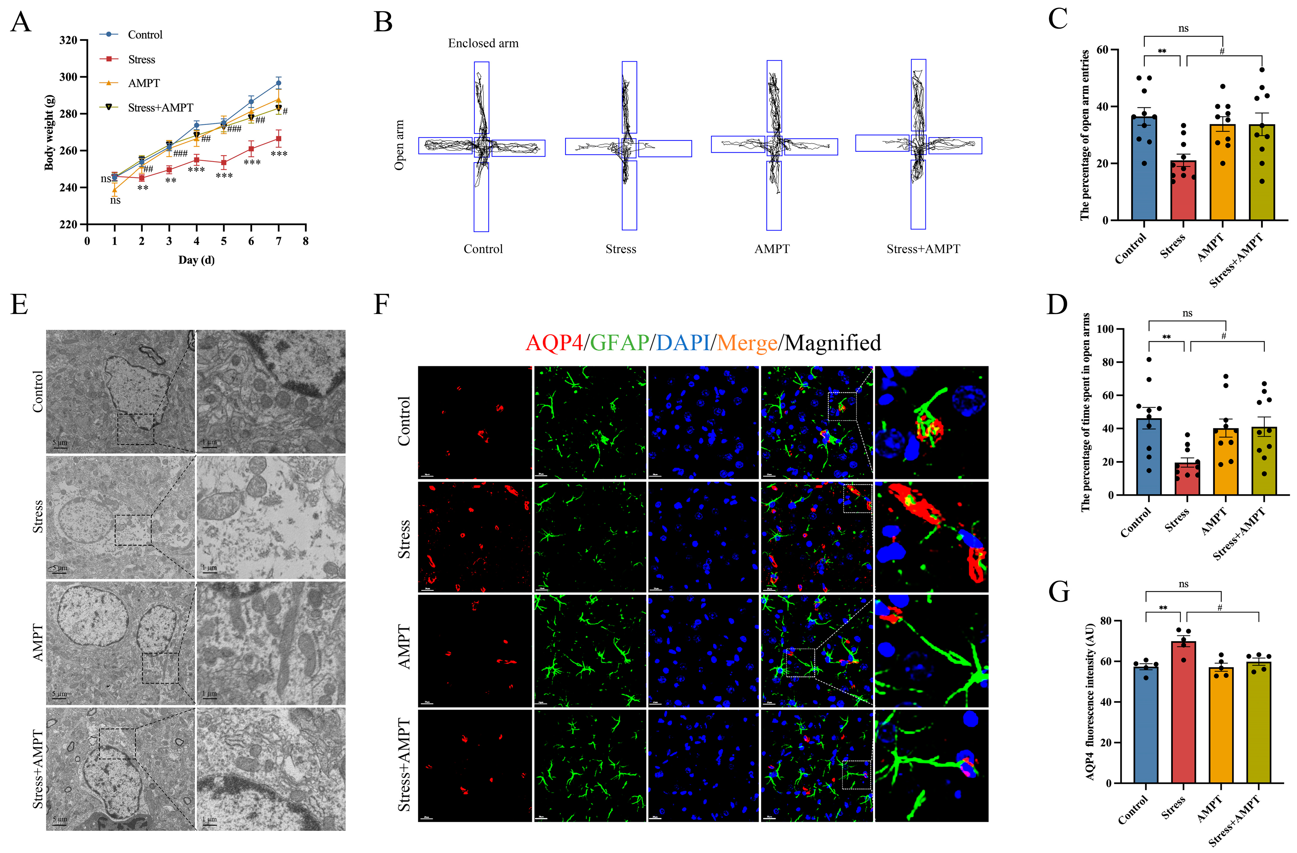 Brainsci 14 00161 g004