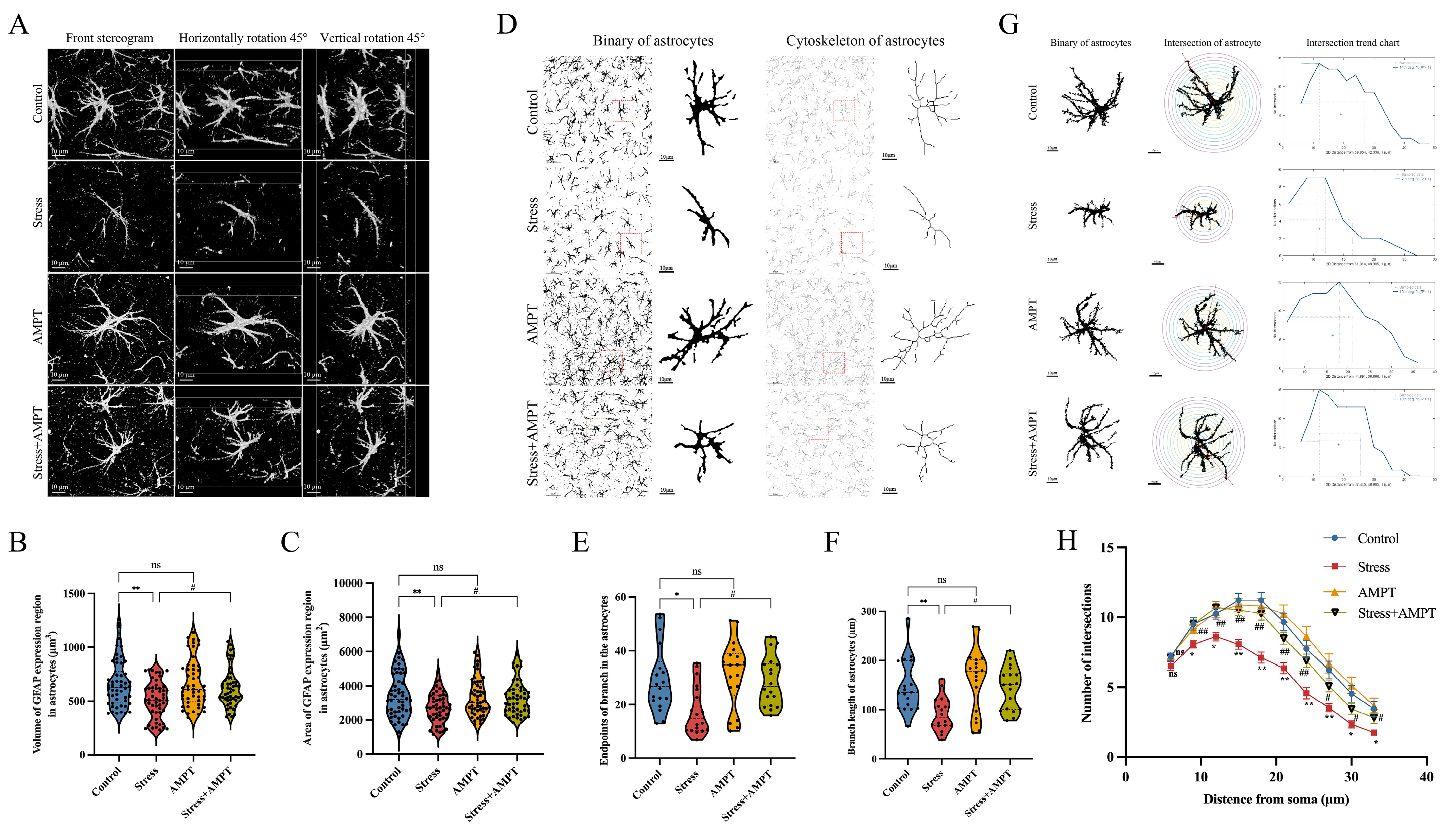 Brainsci 14 00161 g005