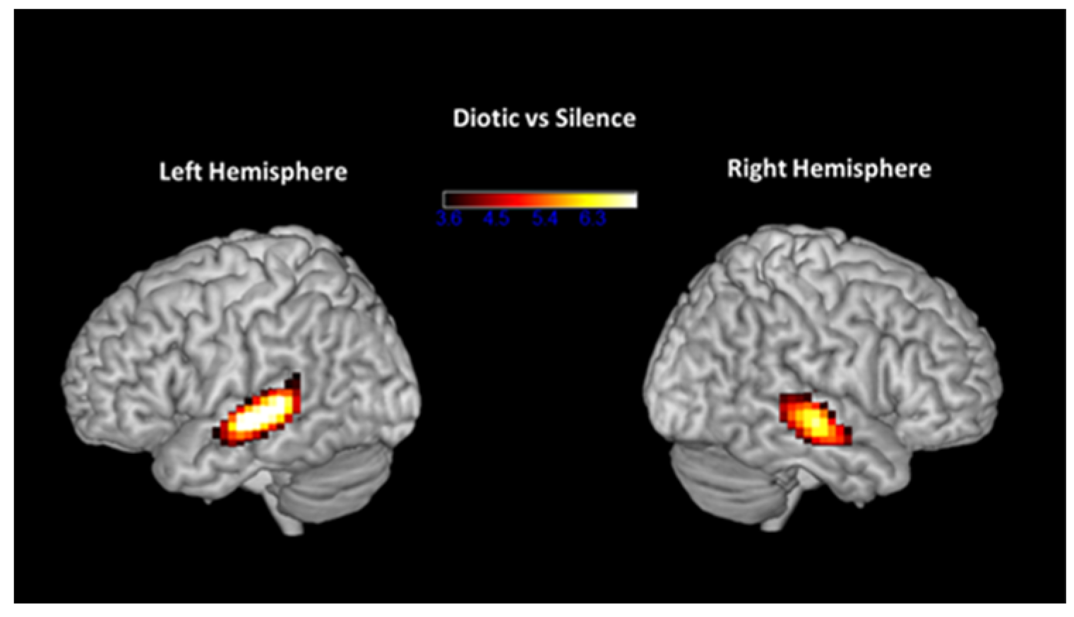 Brainsci 14 00183 g003