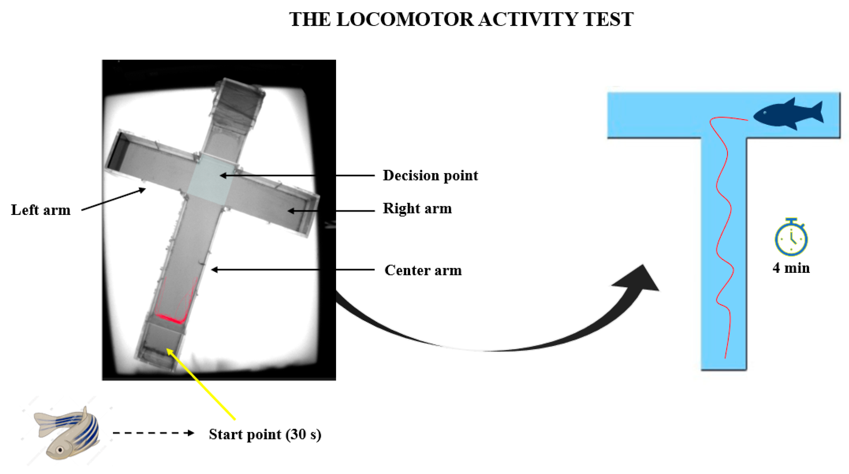 Brainsci 14 00203 g002 Brainsci 14 00203 g002