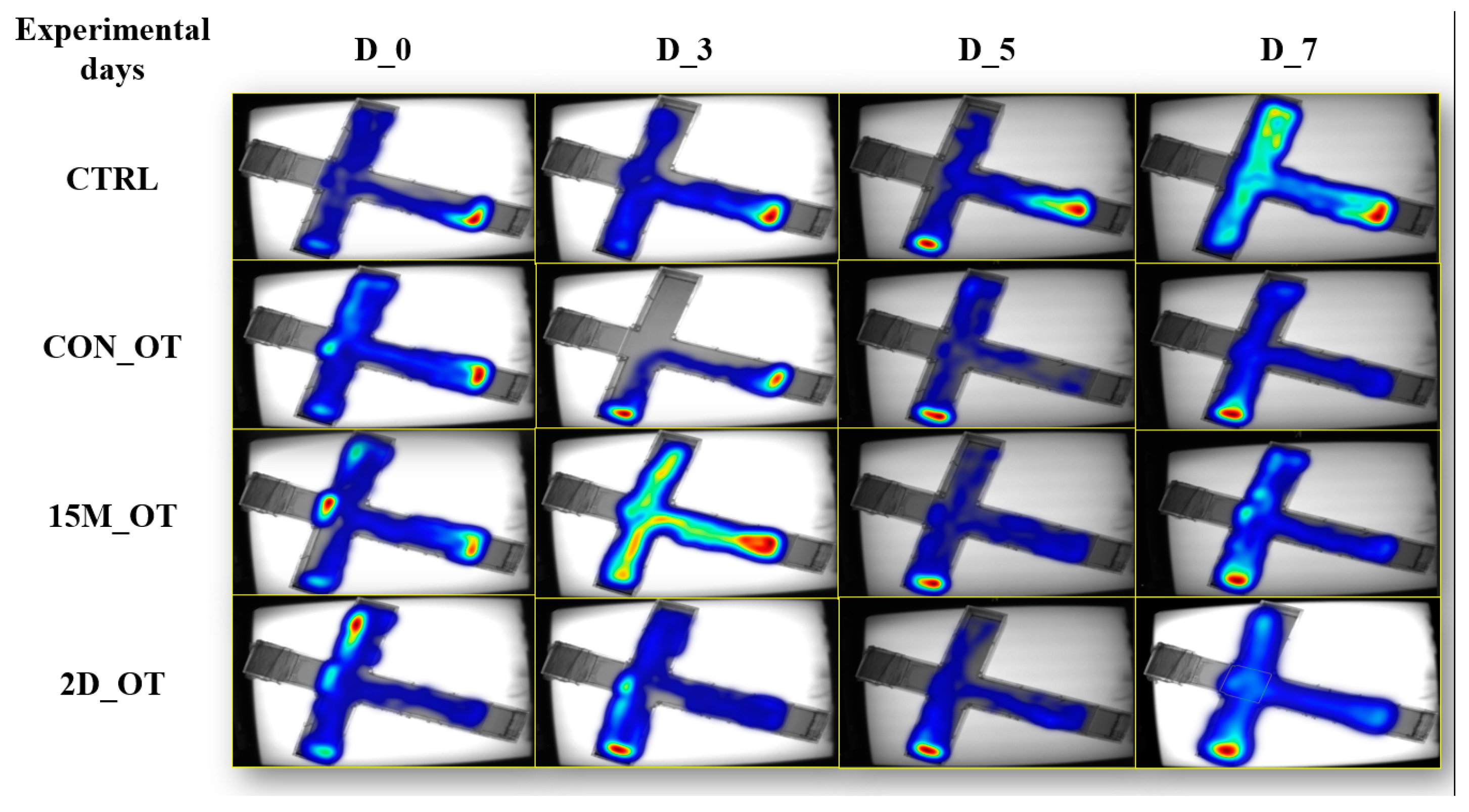 Brainsci 14 00203 g012 Brainsci 14 00203 g012