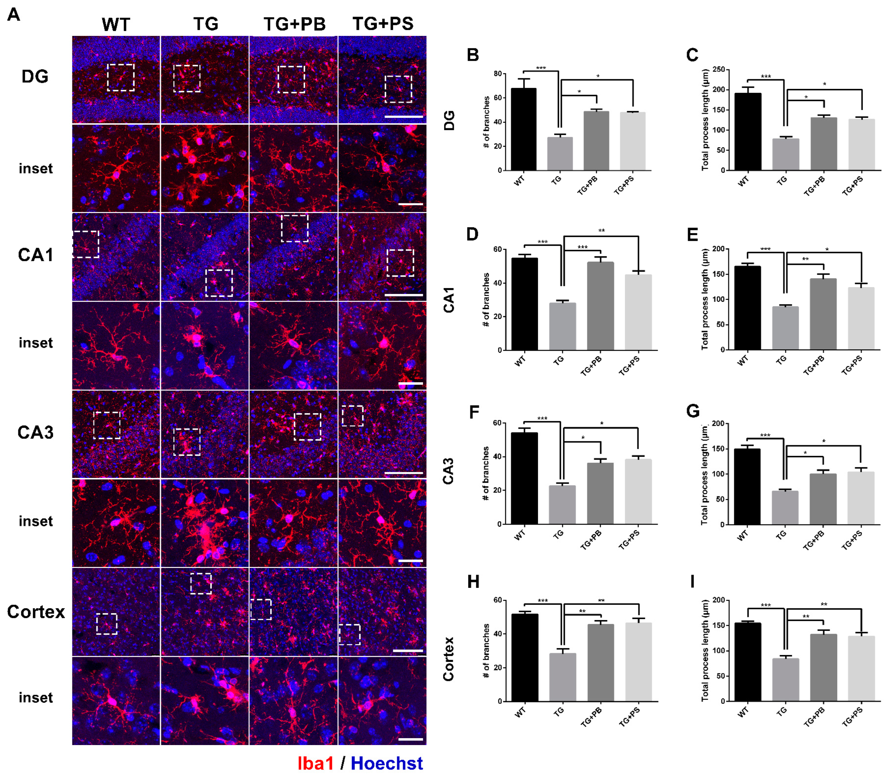 Brainsci 14 00208 g004