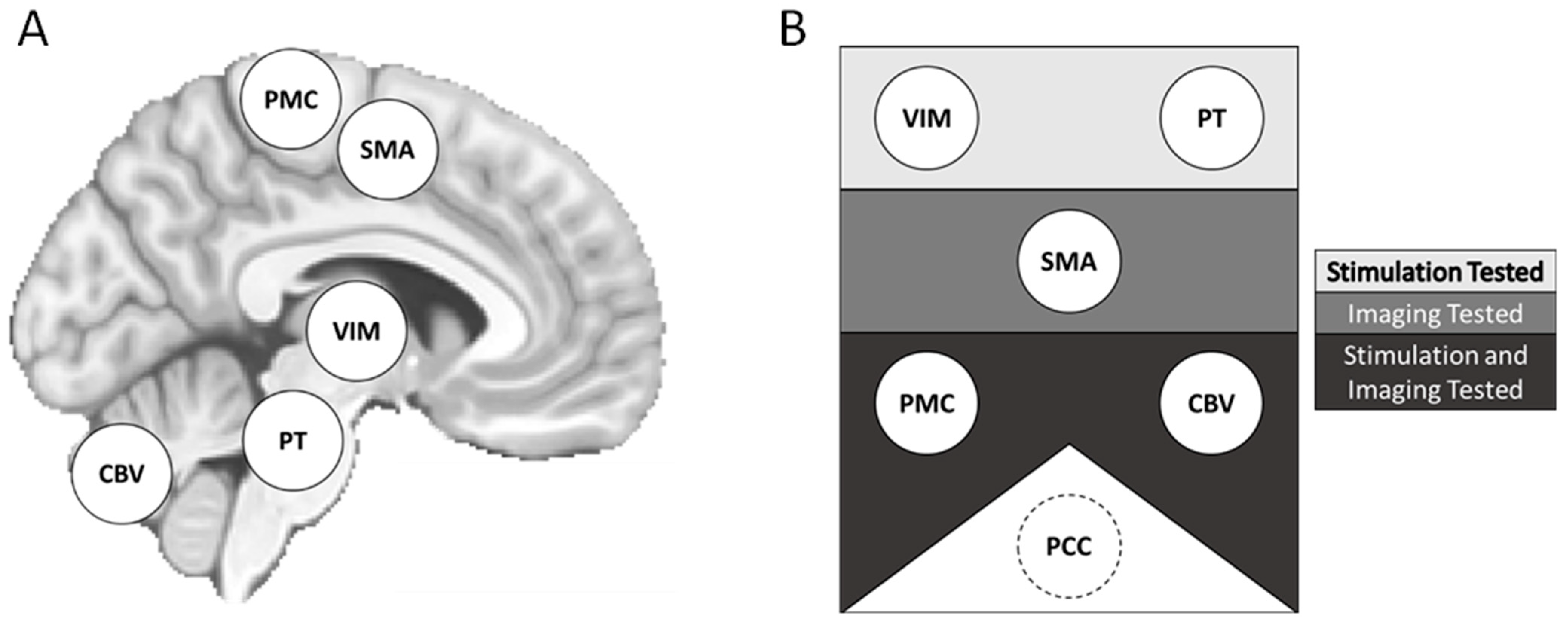 Brain Sciences | Free Full-Text | Measurement of Functional Brain