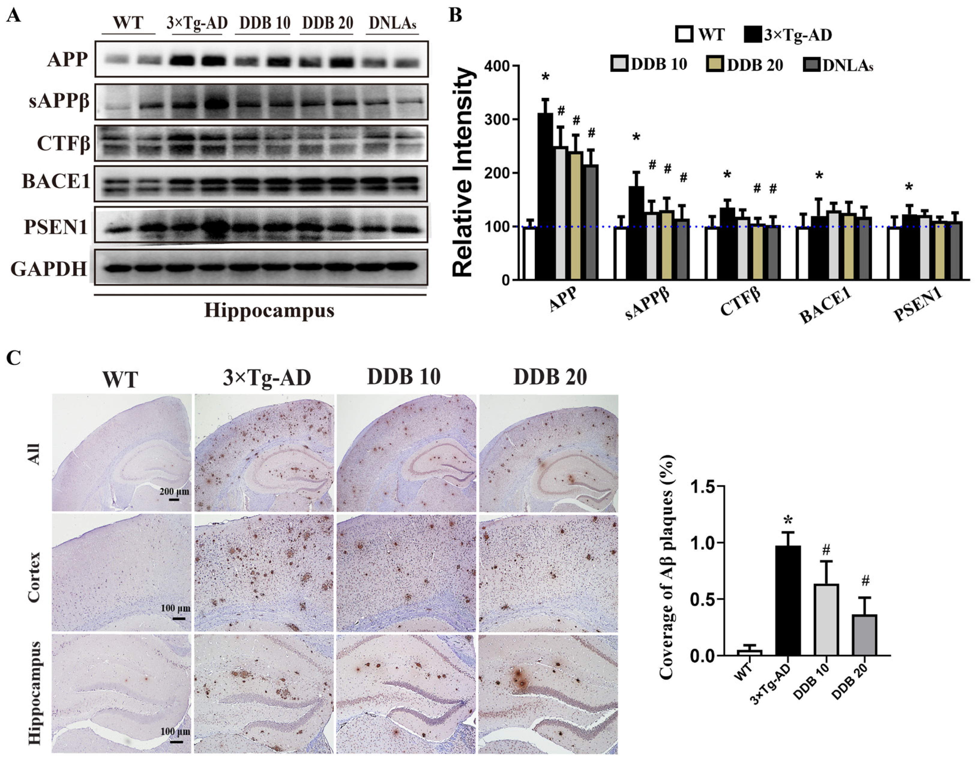 Brainsci 14 00231 g003
