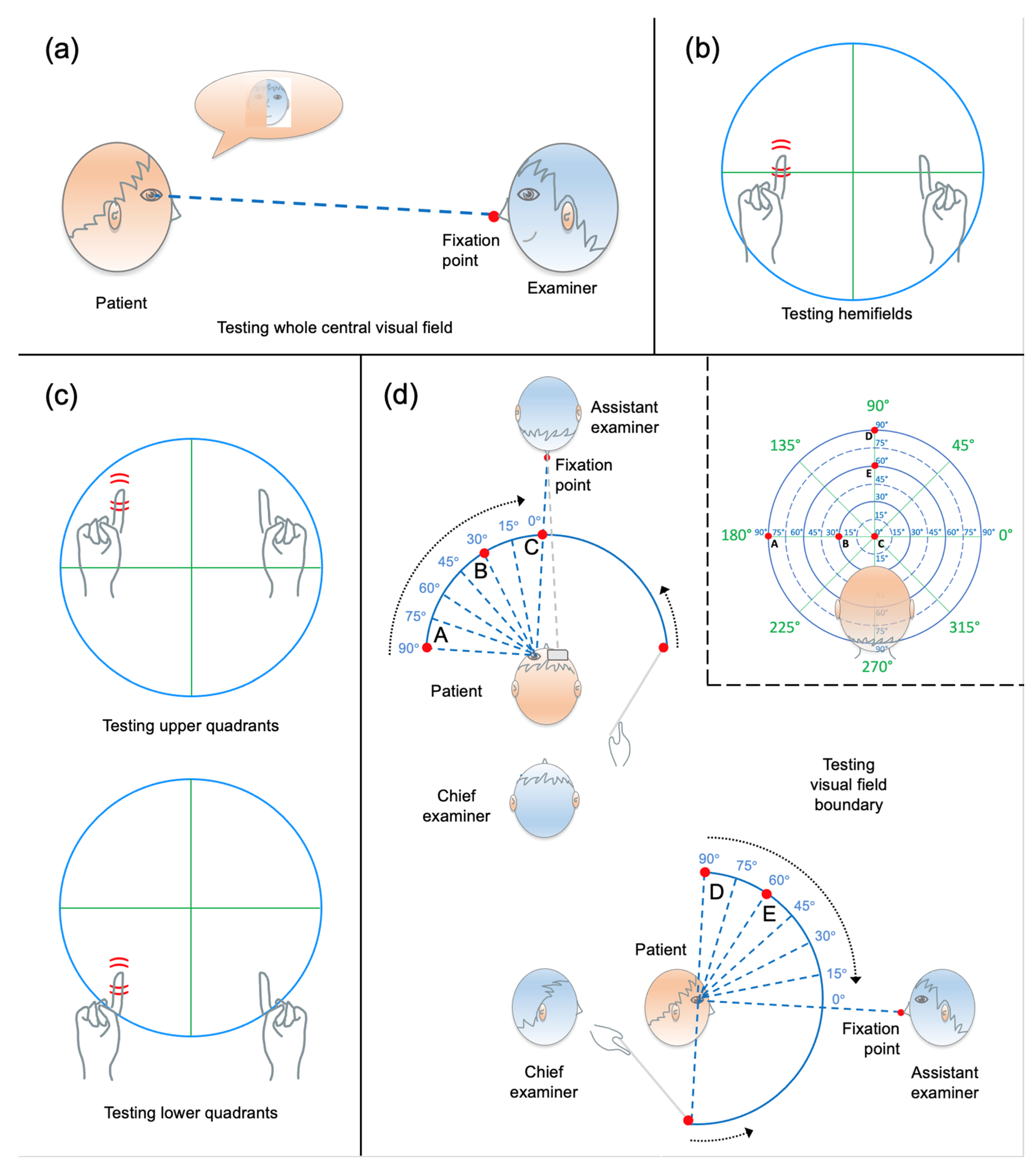 Brainsci 14 00235 g001