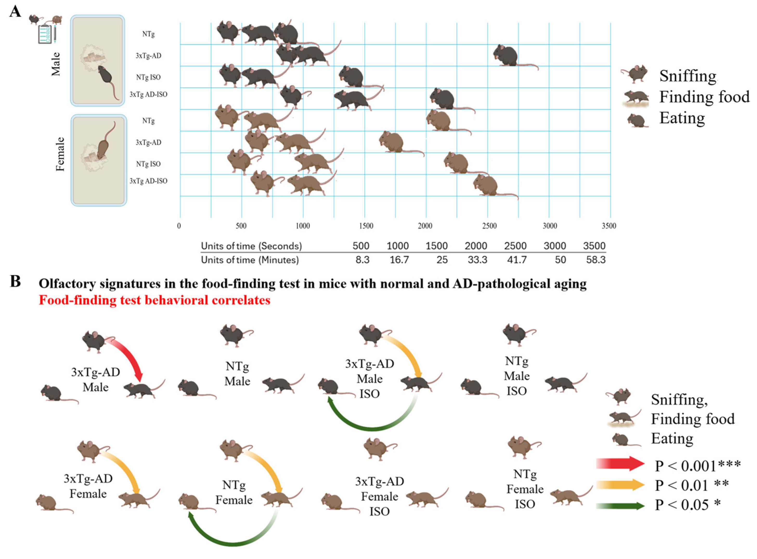Brainsci 14 00288 g002 Brainsci 14 00288 g002