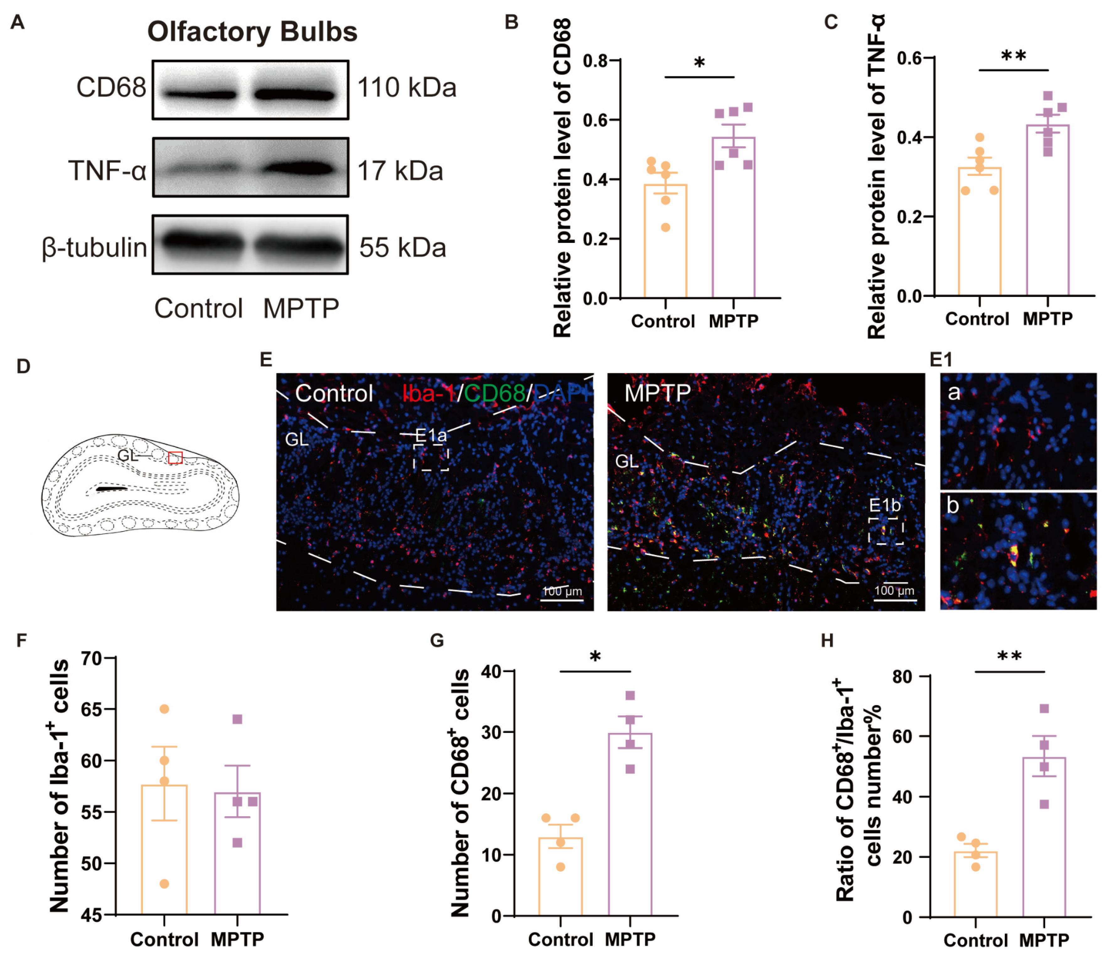 Brainsci 14 00300 g002