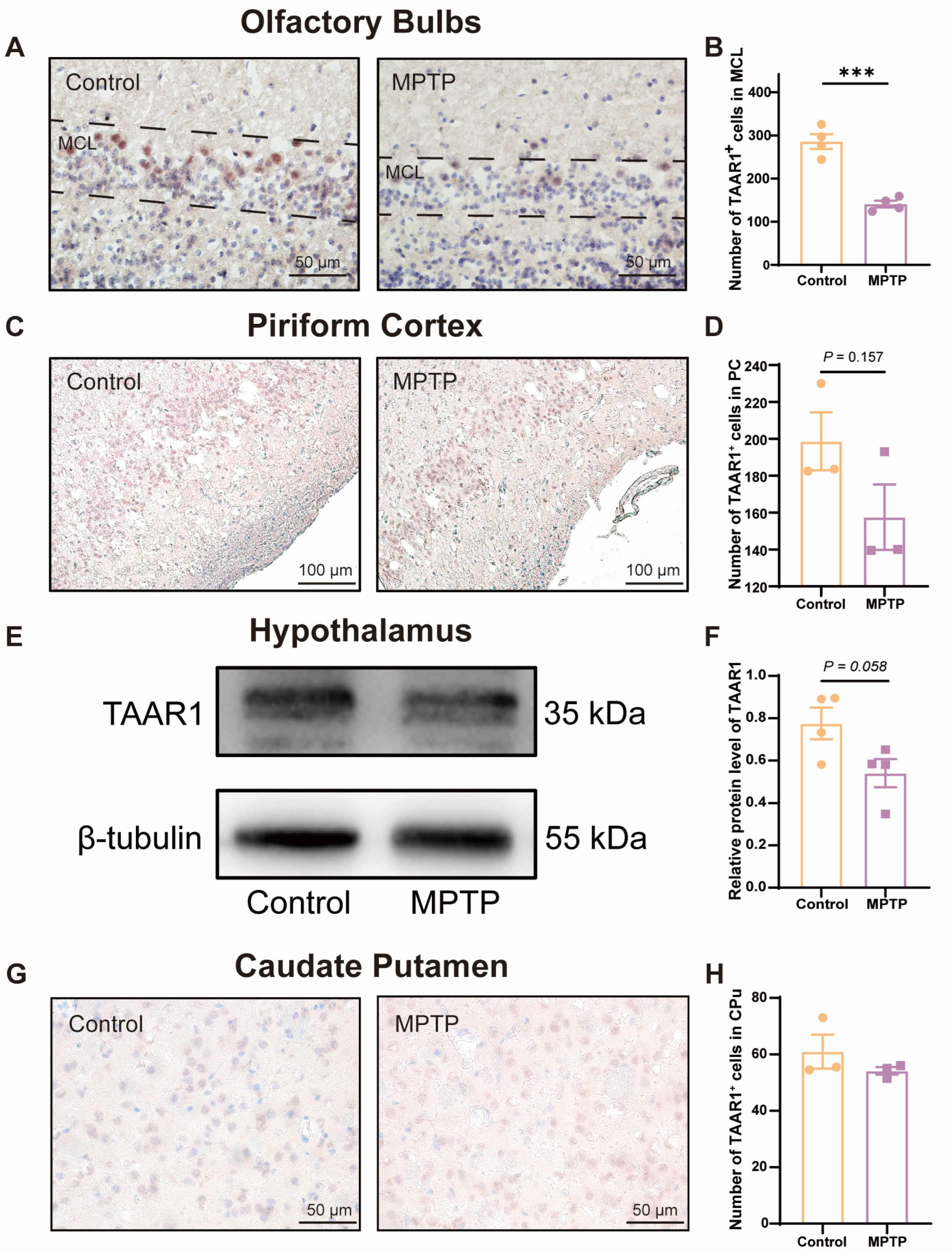 Brainsci 14 00300 g006
