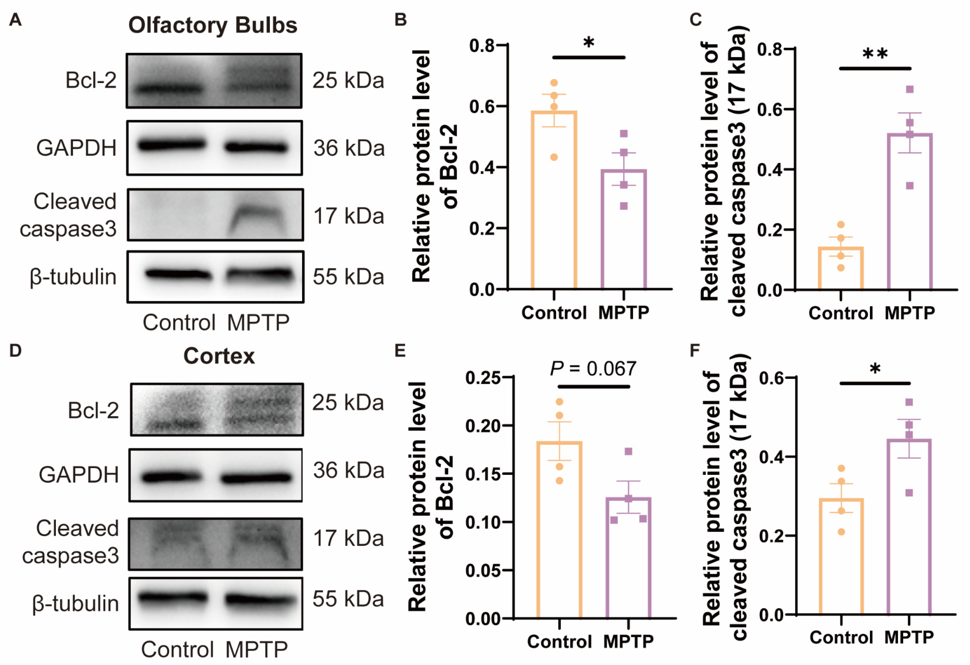 Brainsci 14 00300 g007