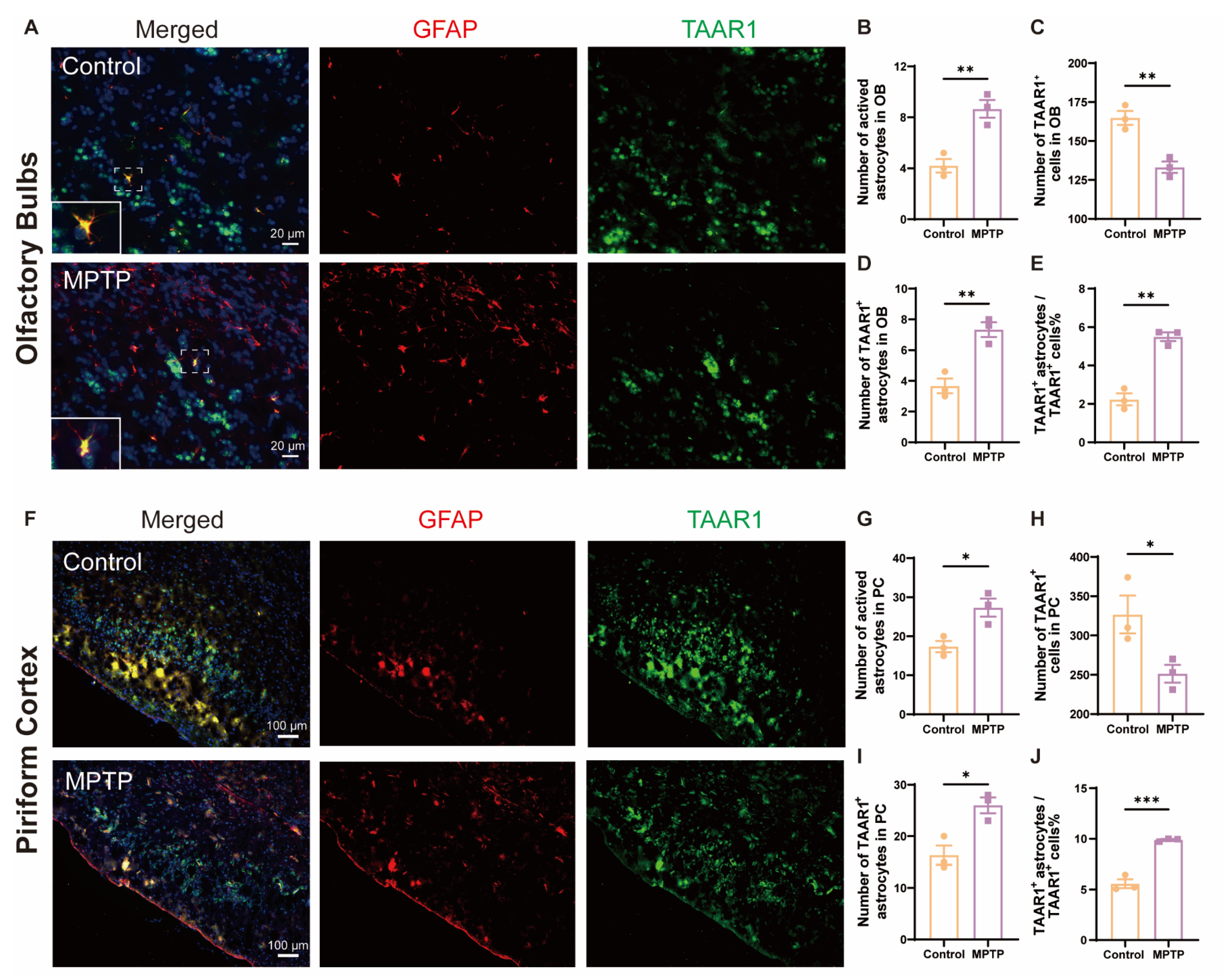 Brainsci 14 00300 g008