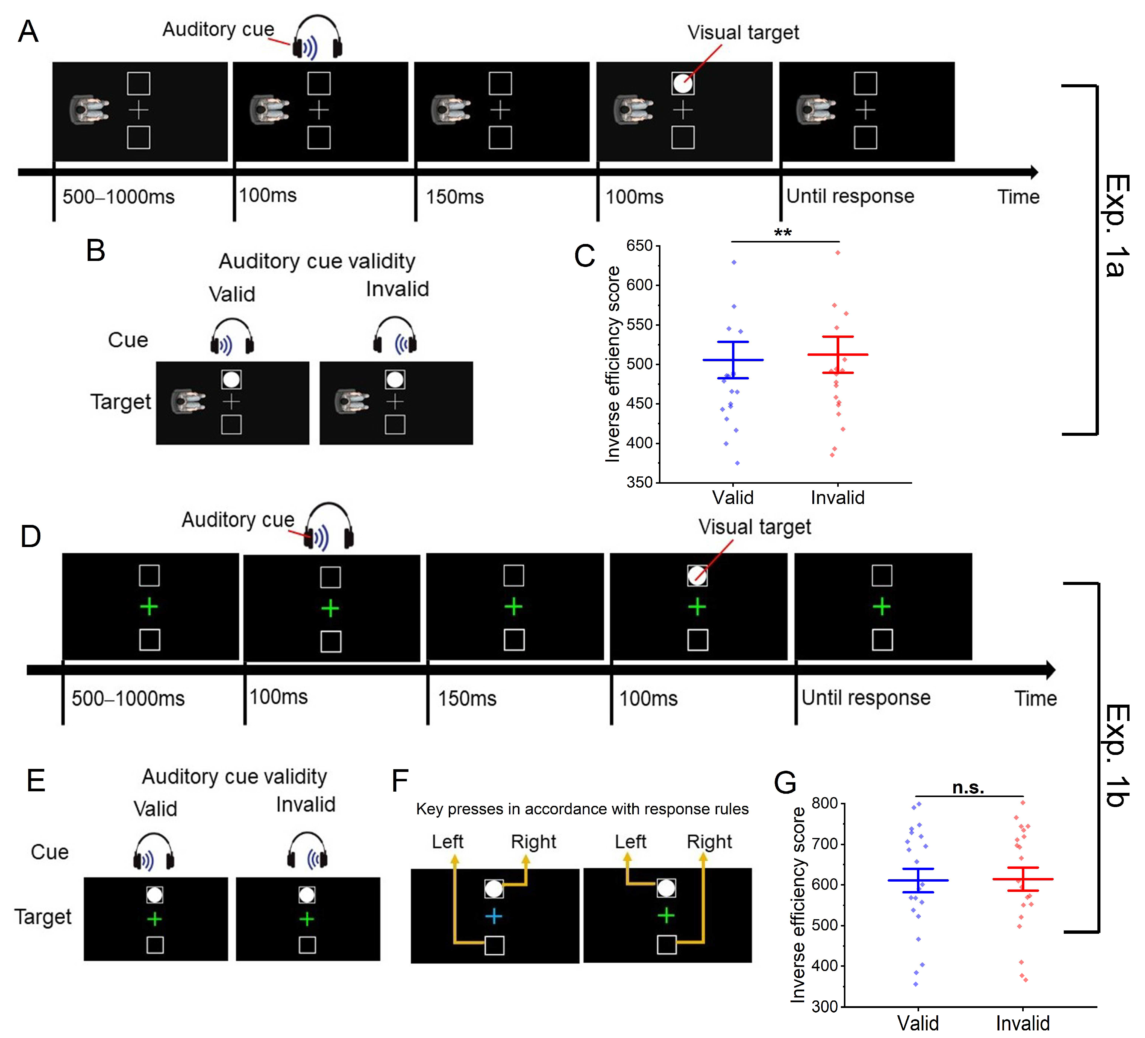 Brain Sciences Free Full Text Embodied Cross Modal