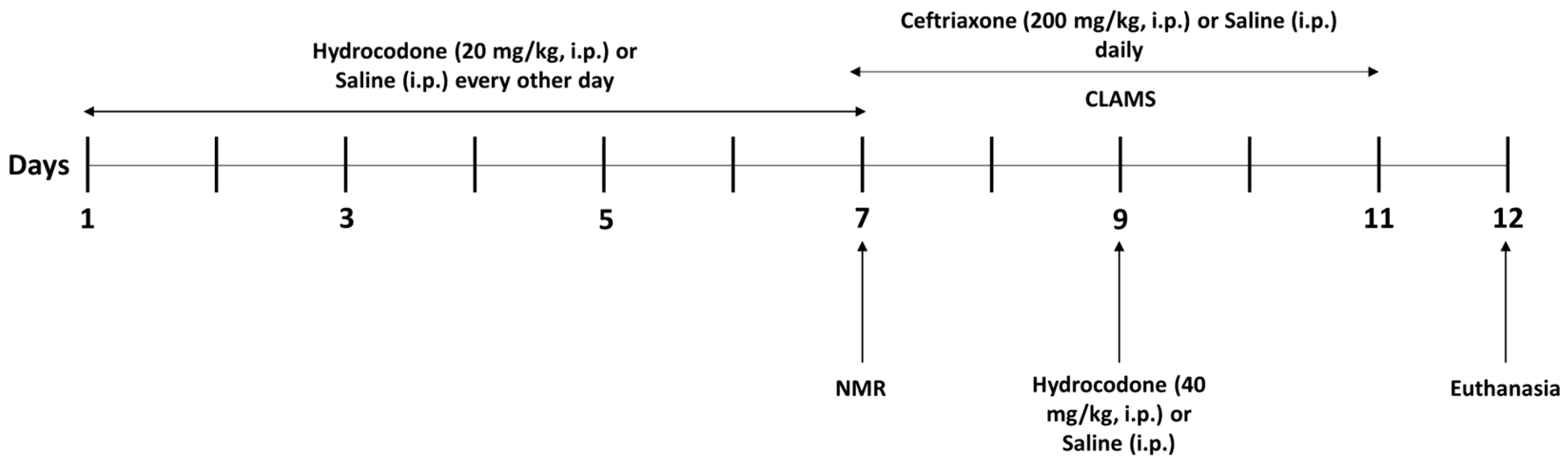 Brainsci 14 00361 g001 Brainsci 14 00361 g001