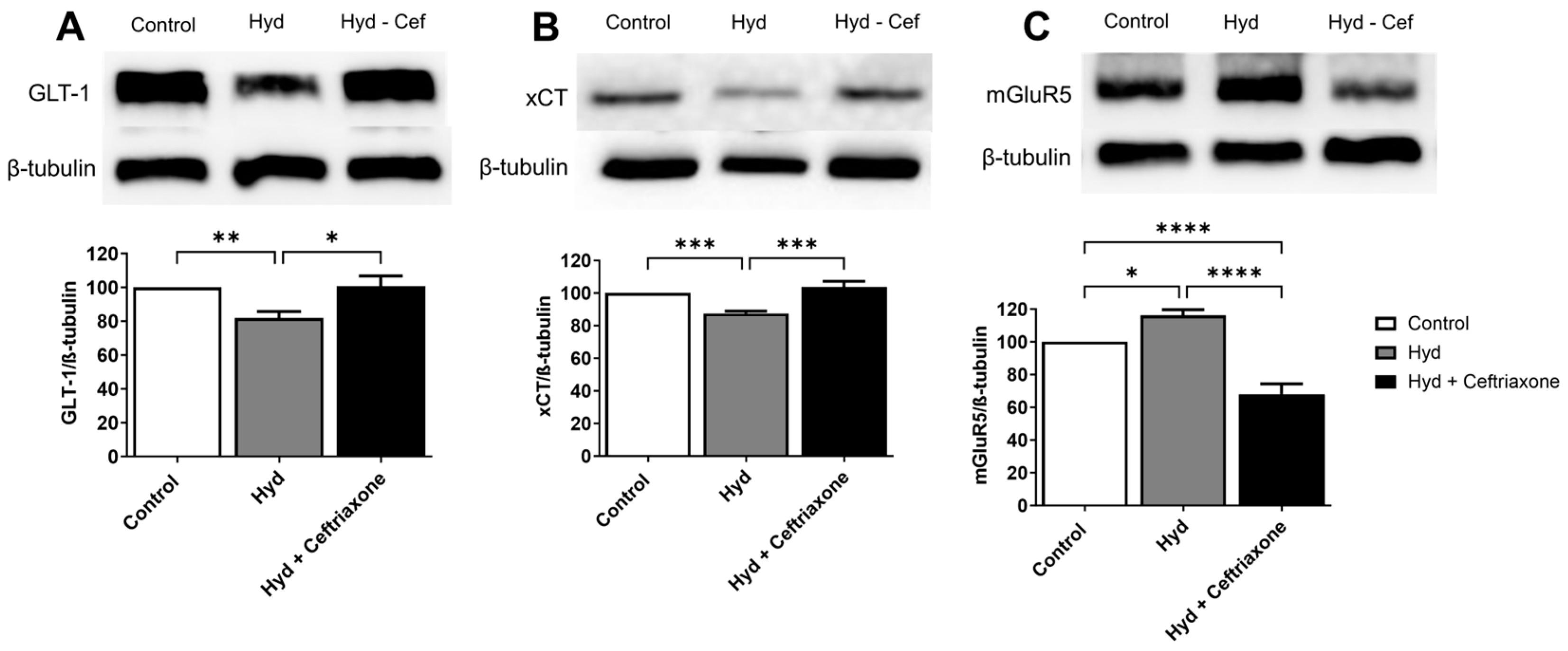 Brainsci 14 00361 g003 Brainsci 14 00361 g003