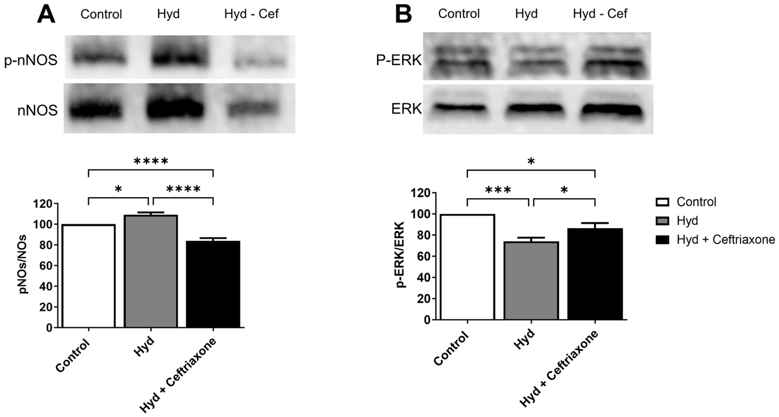 Brainsci 14 00361 g004 Brainsci 14 00361 g004