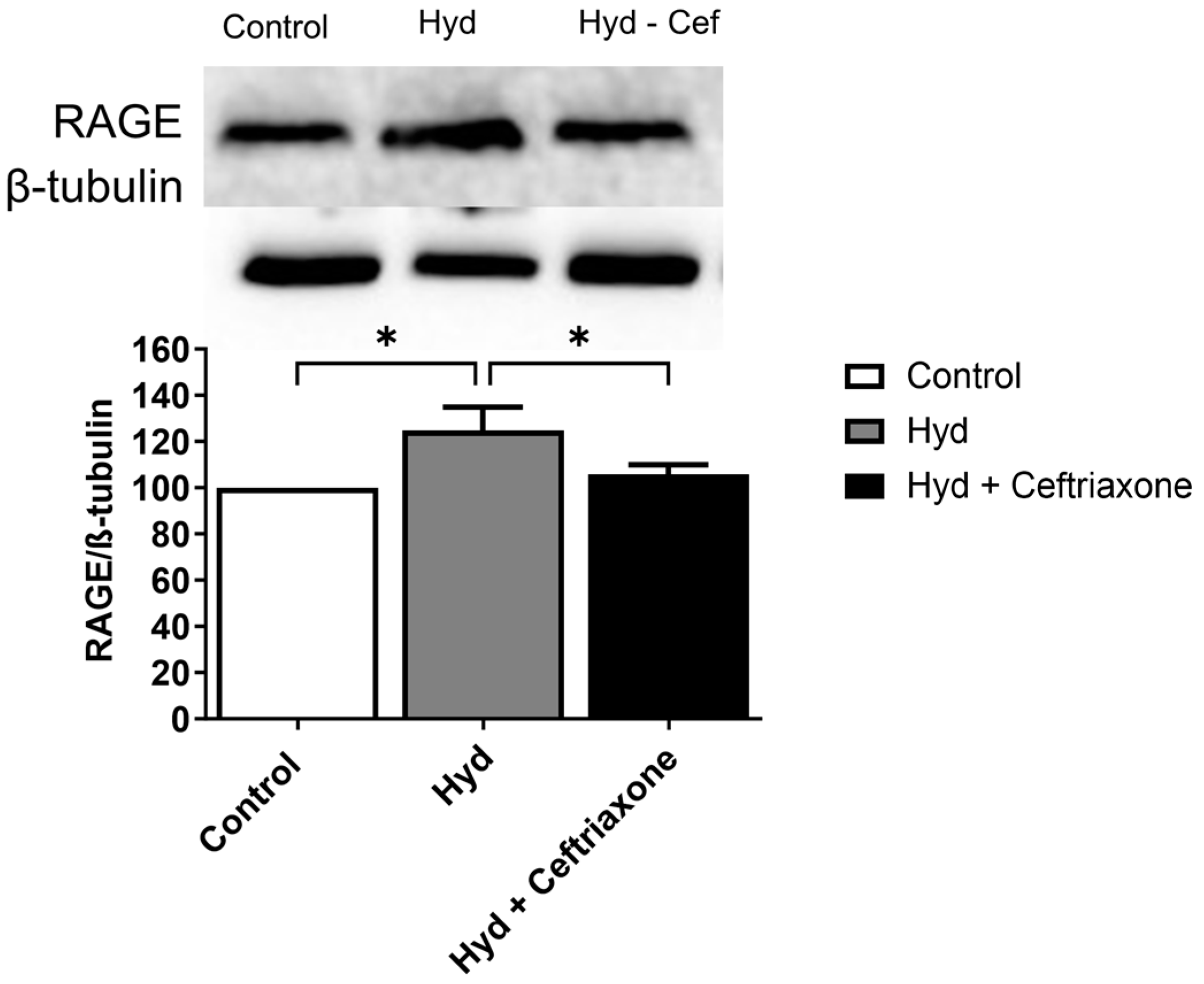 Brainsci 14 00361 g005 Brainsci 14 00361 g005