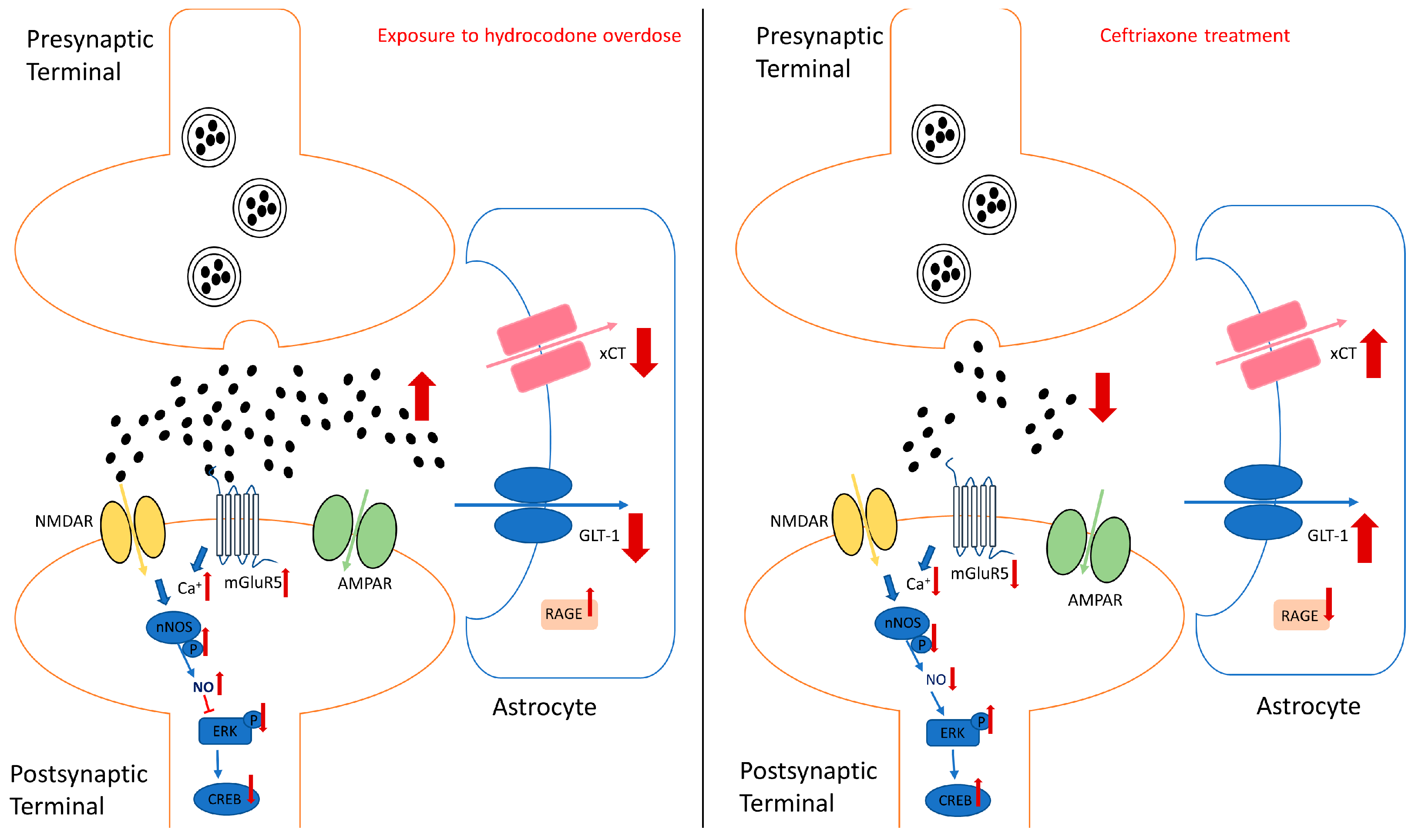 Brainsci 14 00361 g006 Brainsci 14 00361 g006