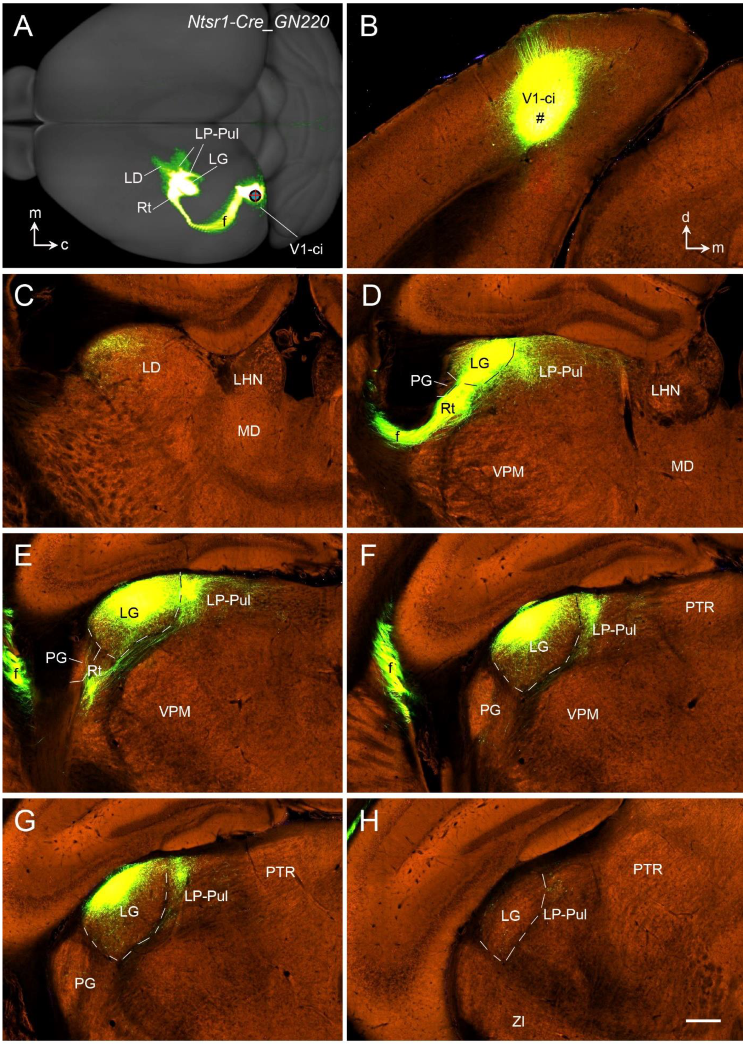 Brainsci 14 00372 g016 Brainsci 14 00372 g016