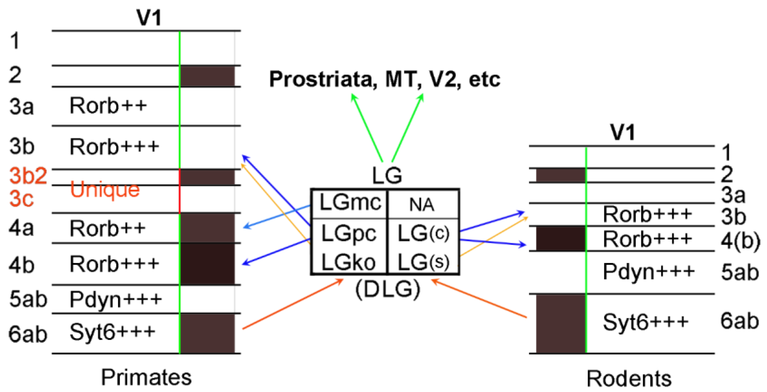 Brainsci 14 00372 g018 Brainsci 14 00372 g018
