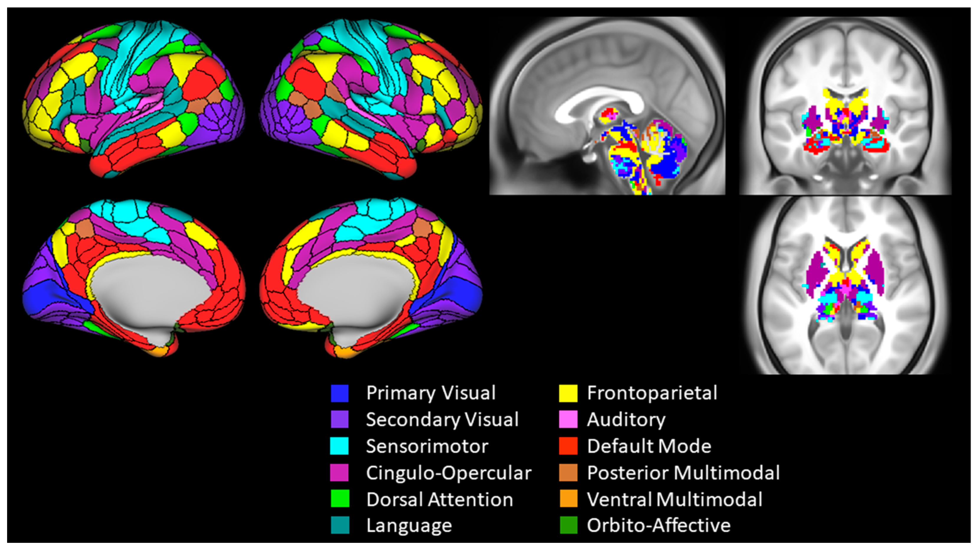 Brainsci 14 00376 g002