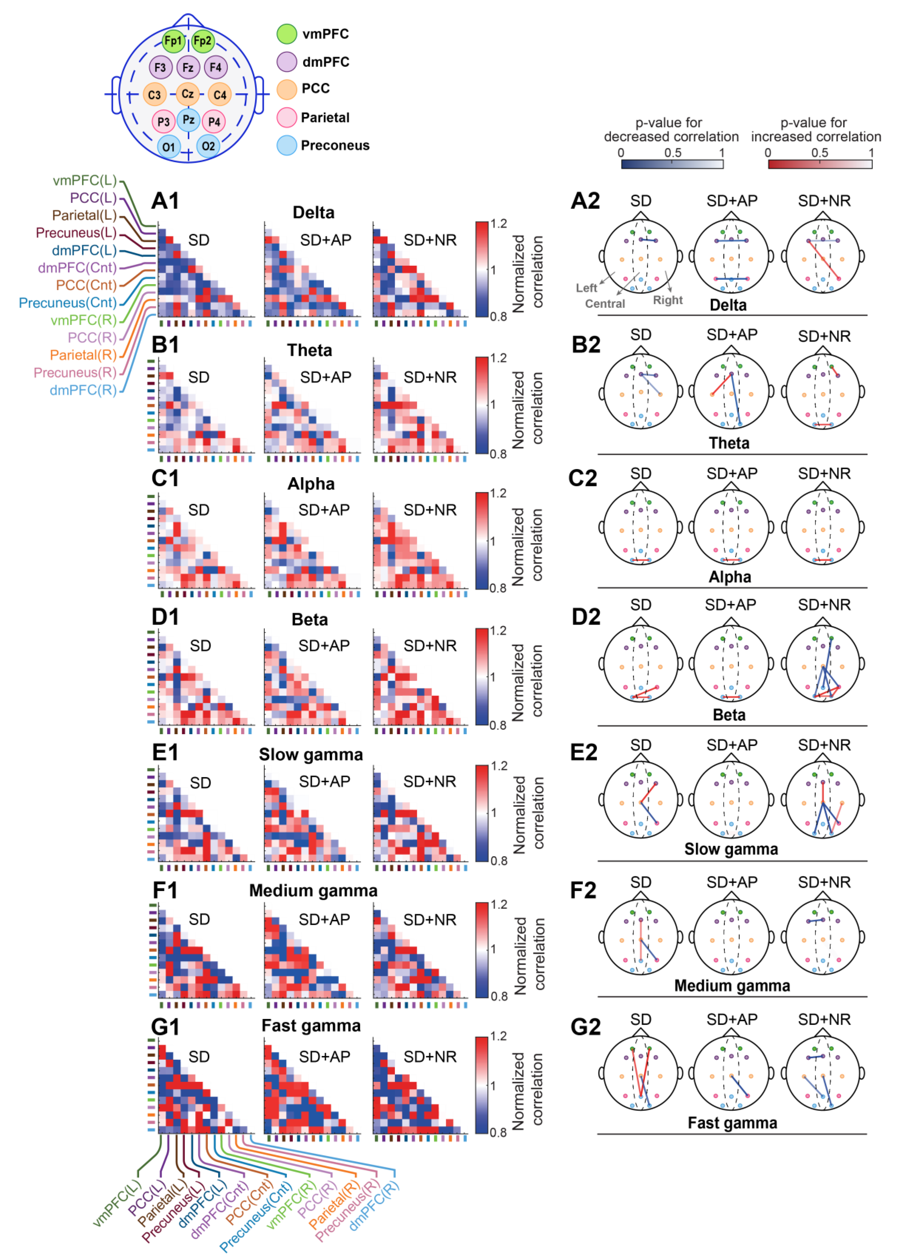 Brainsci 14 00378 g007