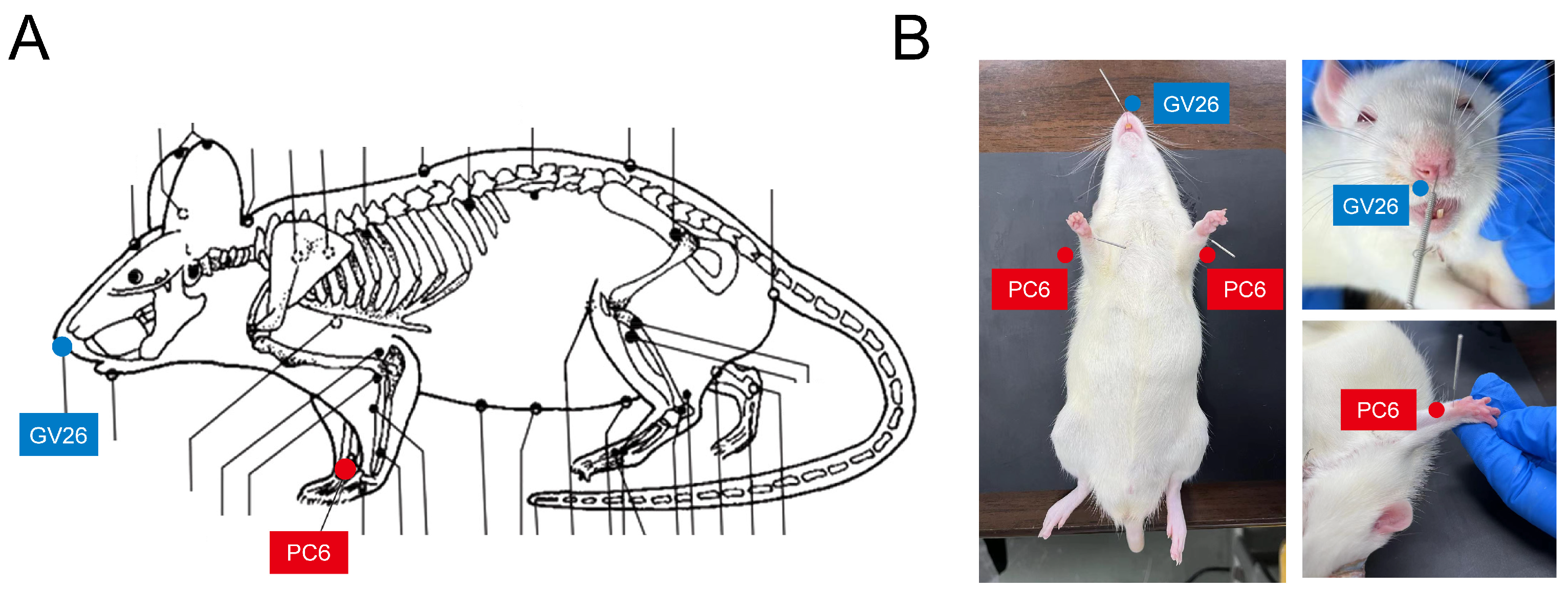 Brainsci 14 00399 g001