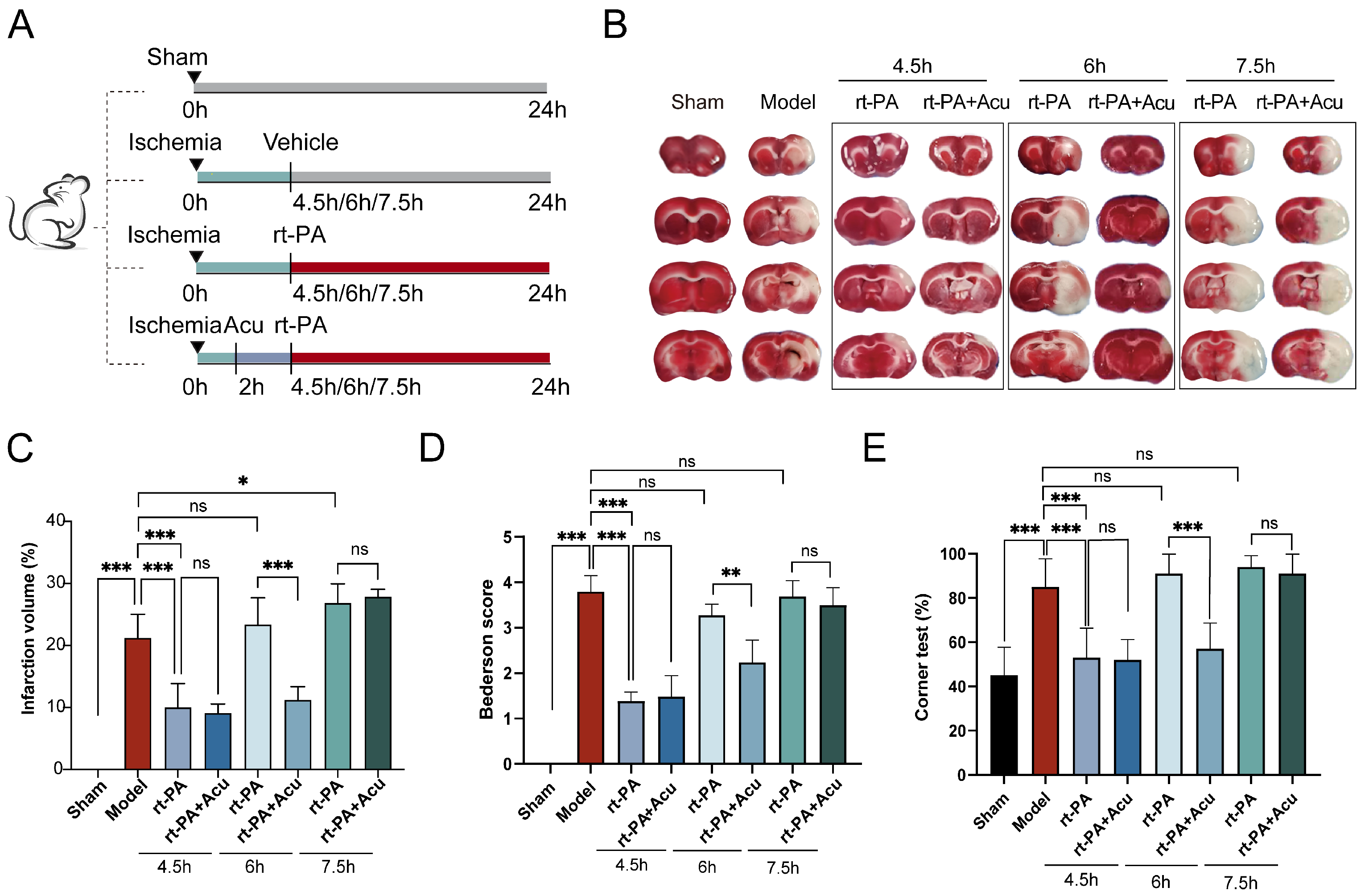 Brainsci 14 00399 g002