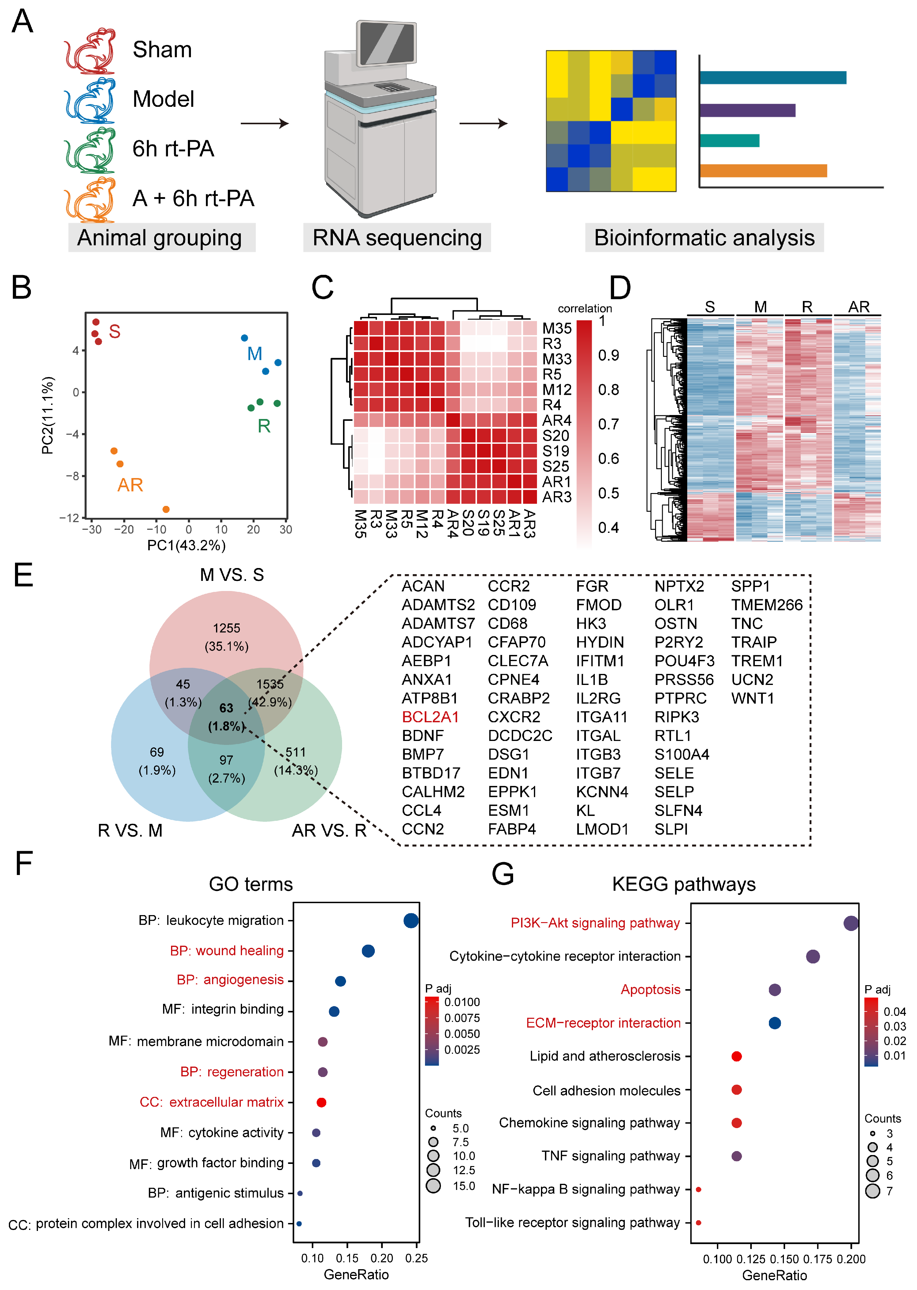 Brainsci 14 00399 g004