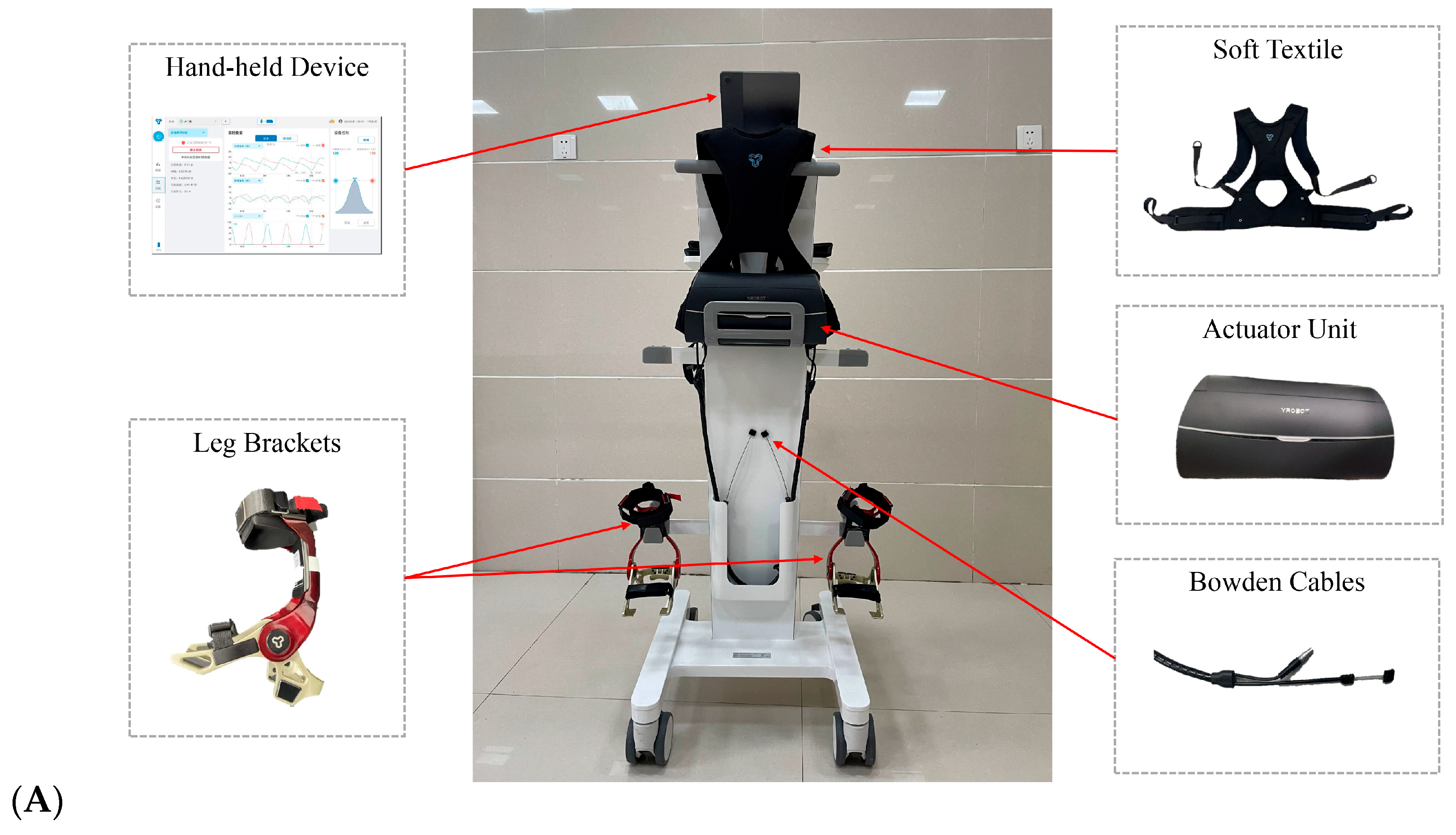 Brainsci 14 00425 g002a