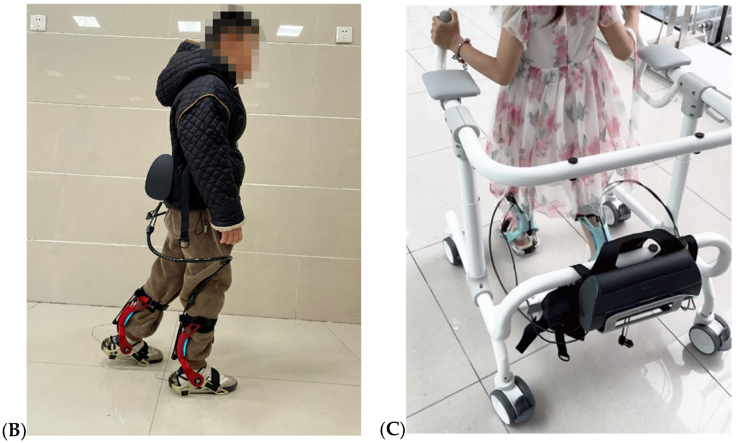 Brainsci 14 00425 g002b