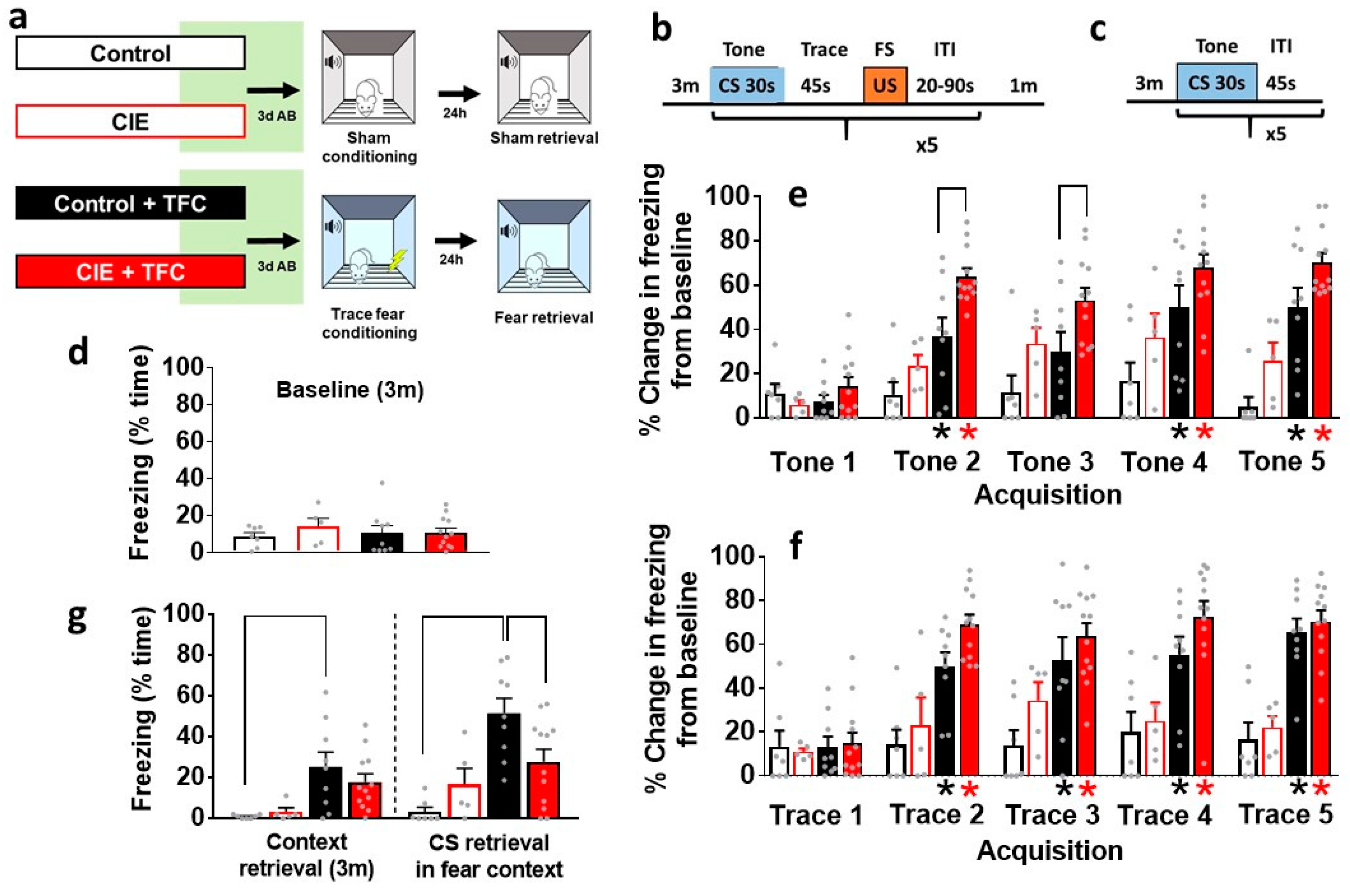 Brainsci 14 00431 g002 Brainsci 14 00431 g002