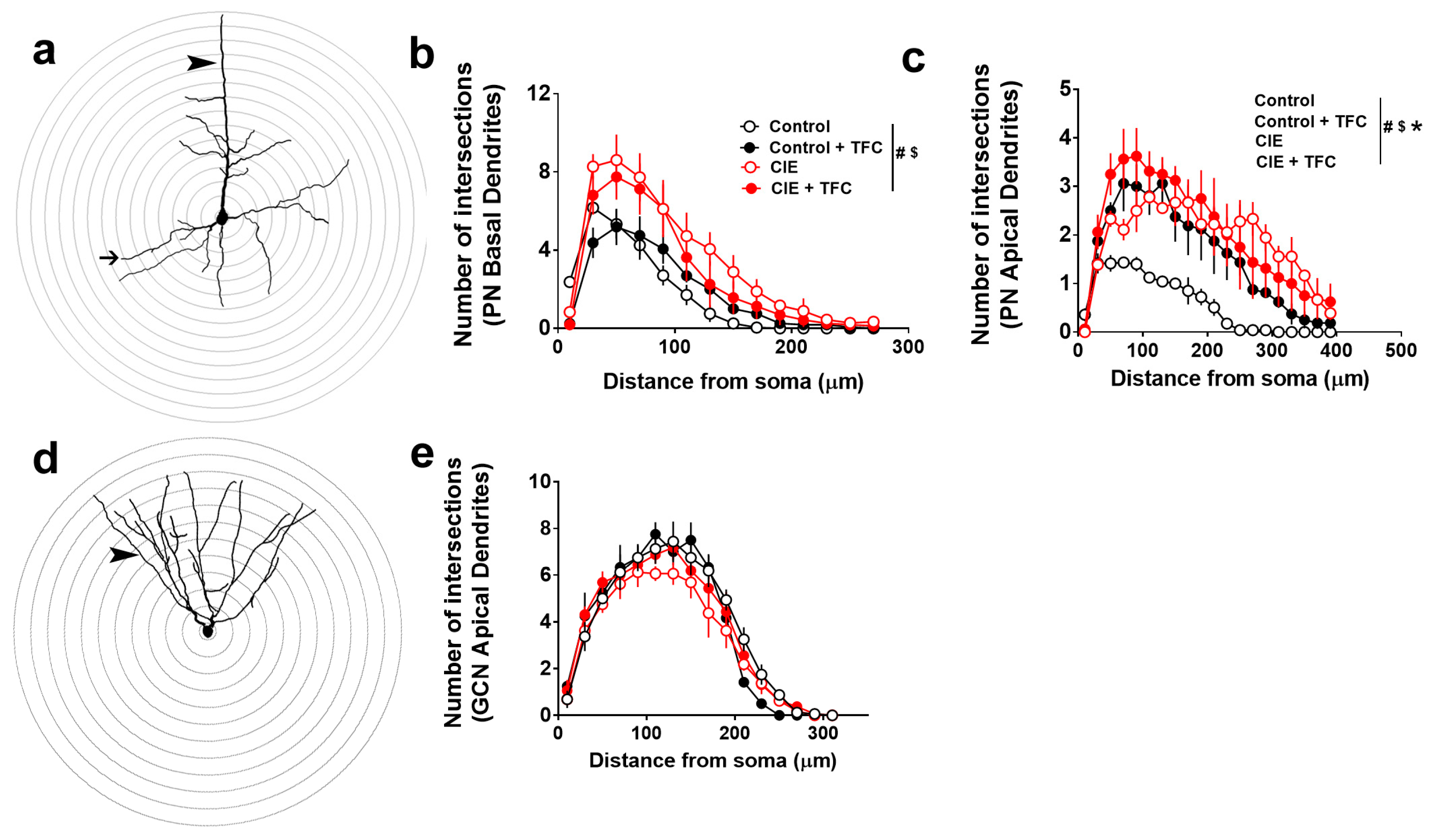 Brainsci 14 00431 g003 Brainsci 14 00431 g003