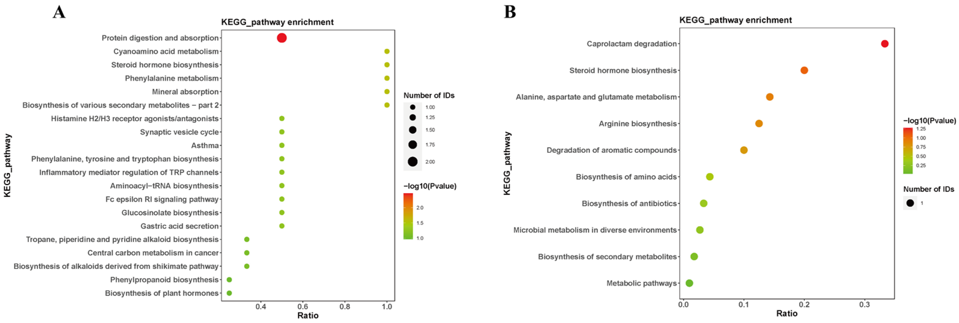 Brainsci 14 00441 g006