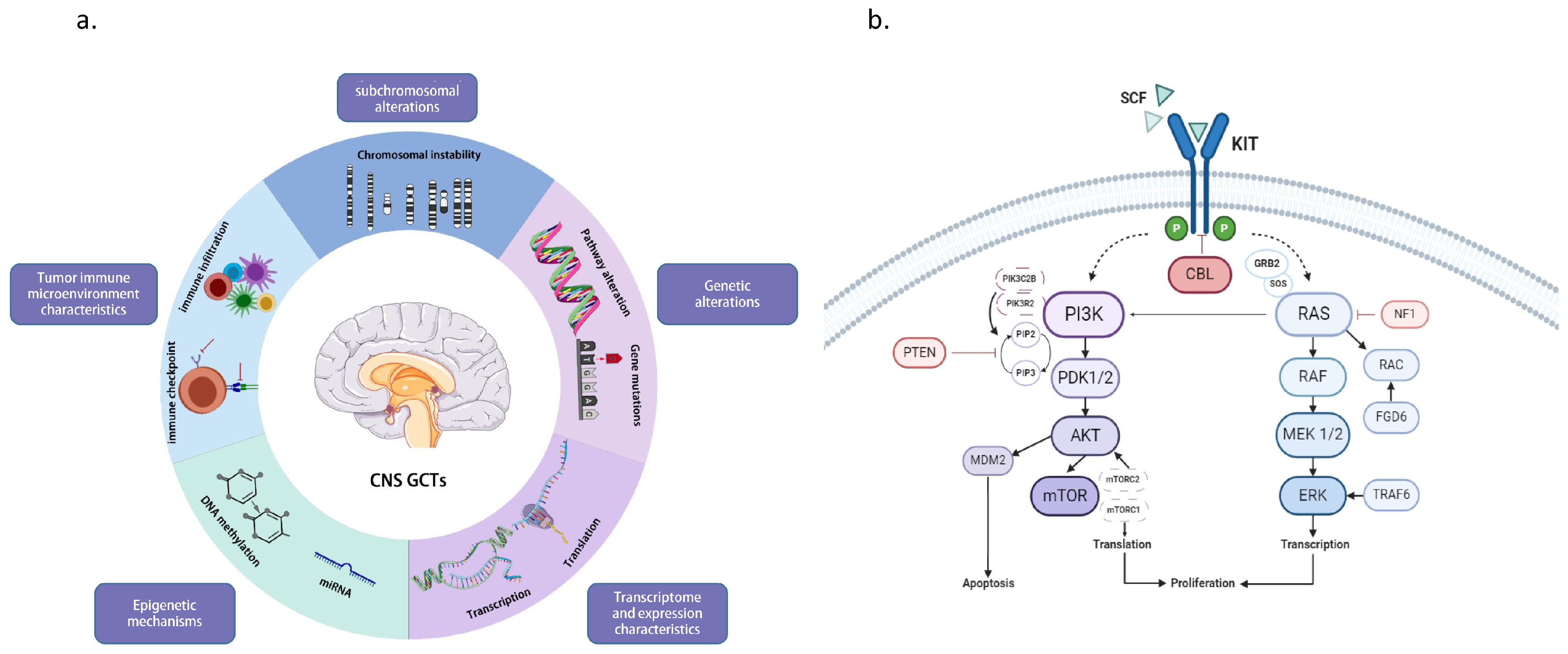 Brainsci 14 00445 g003 Brainsci 14 00445 g003
