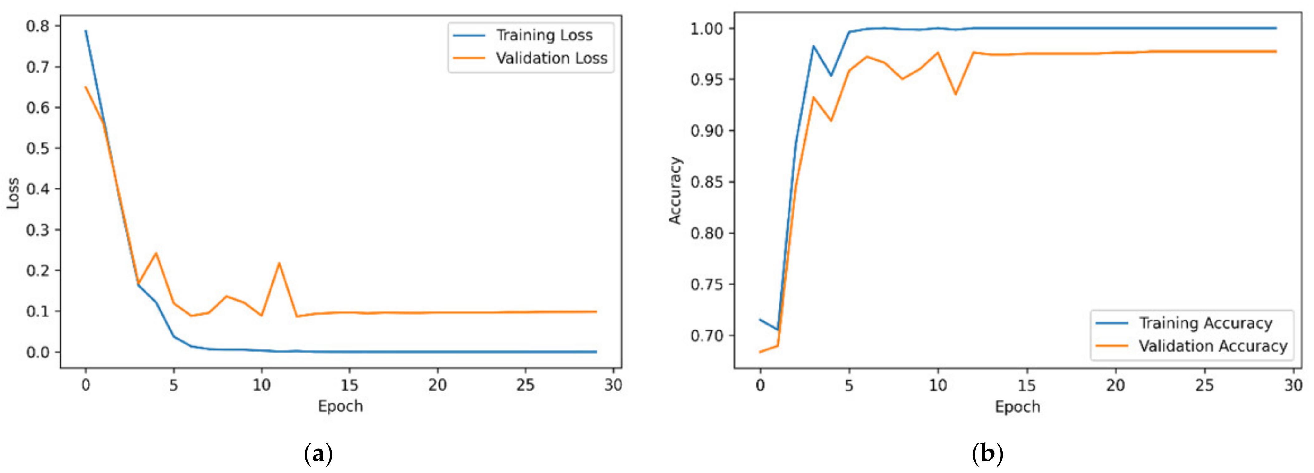 Brainsci 14 00469 g004