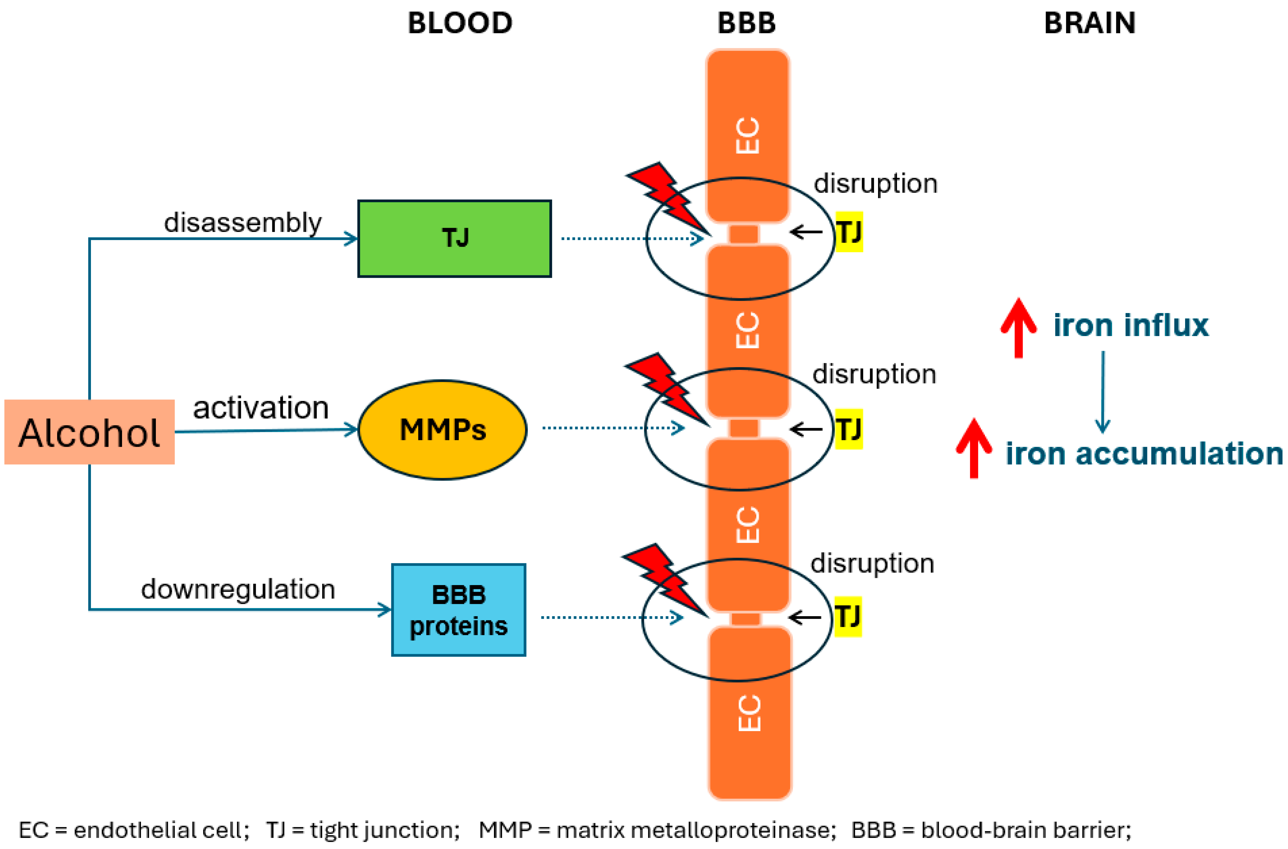 Brainsci 14 00520 g002
