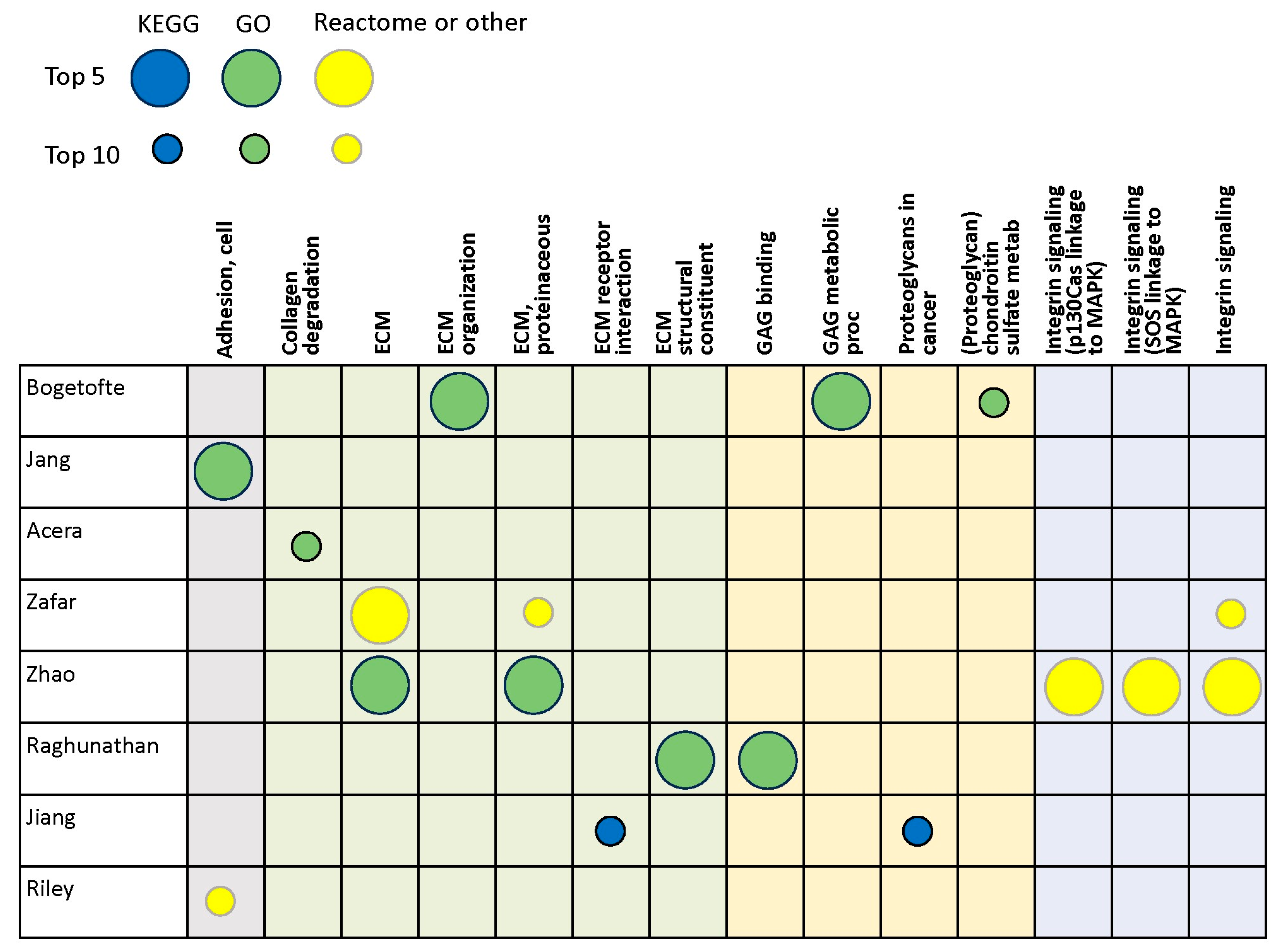 Brainsci 14 00522 g003