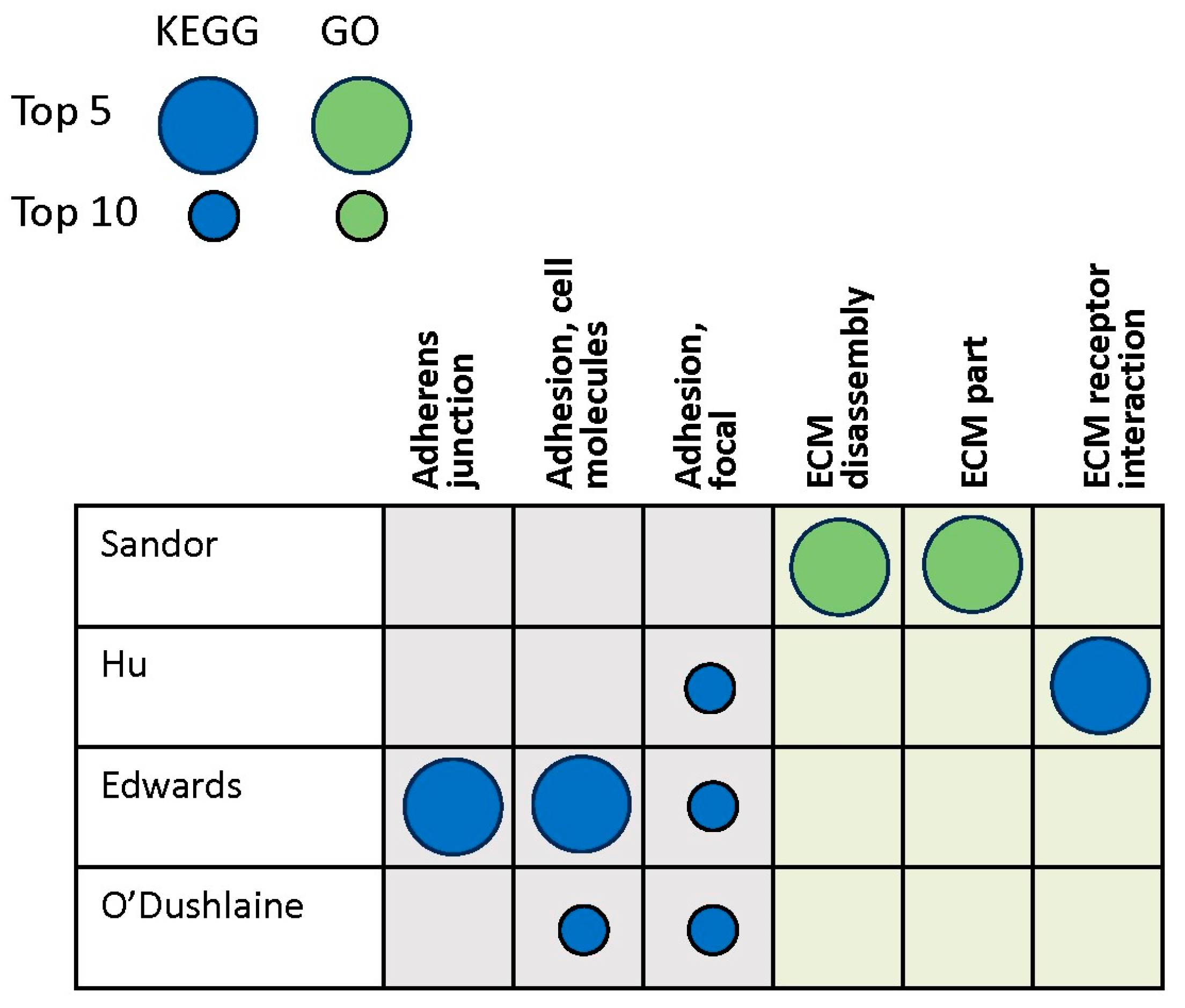 Brainsci 14 00522 g004