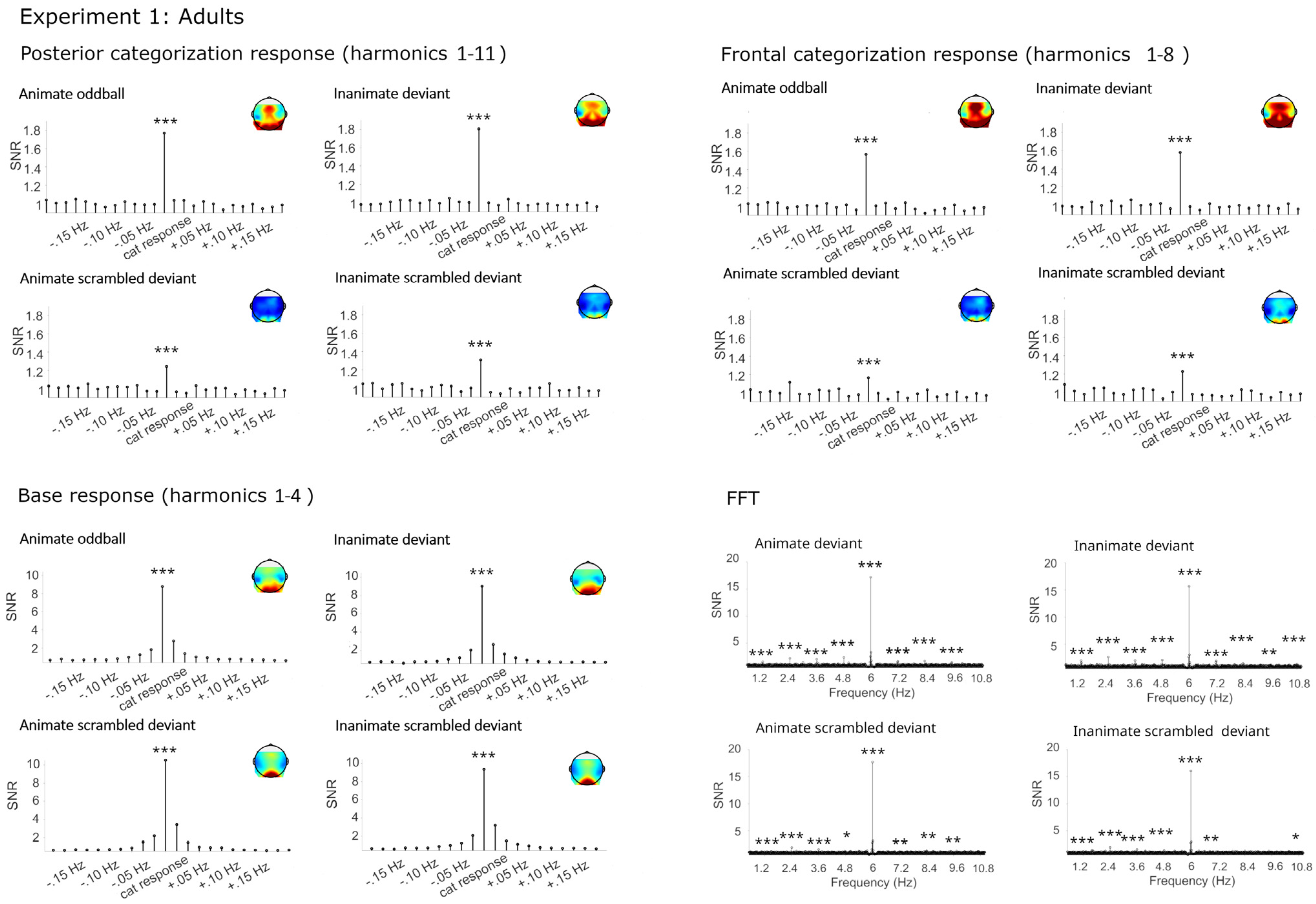 Brainsci 14 00541 g002