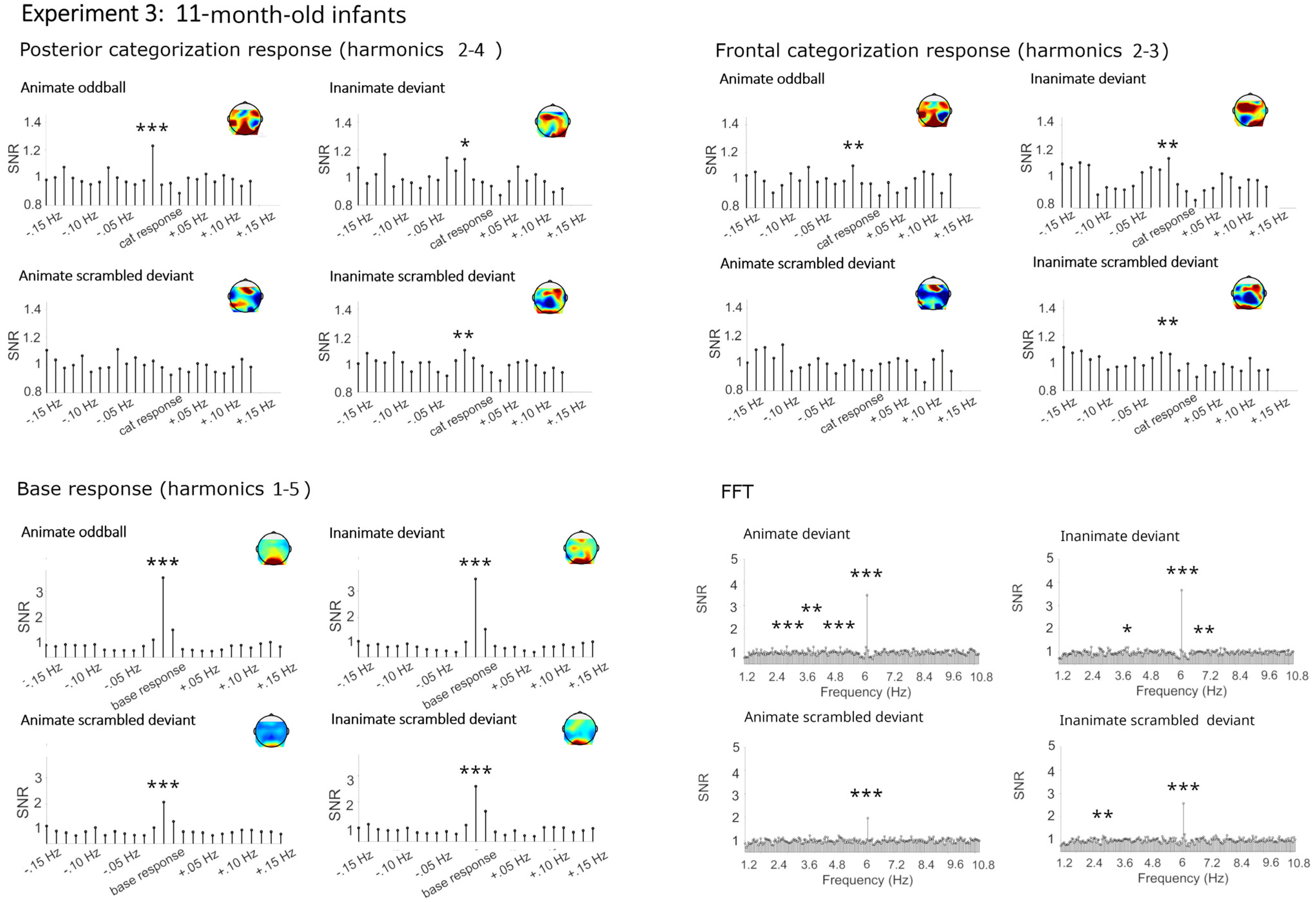 Brainsci 14 00541 g006