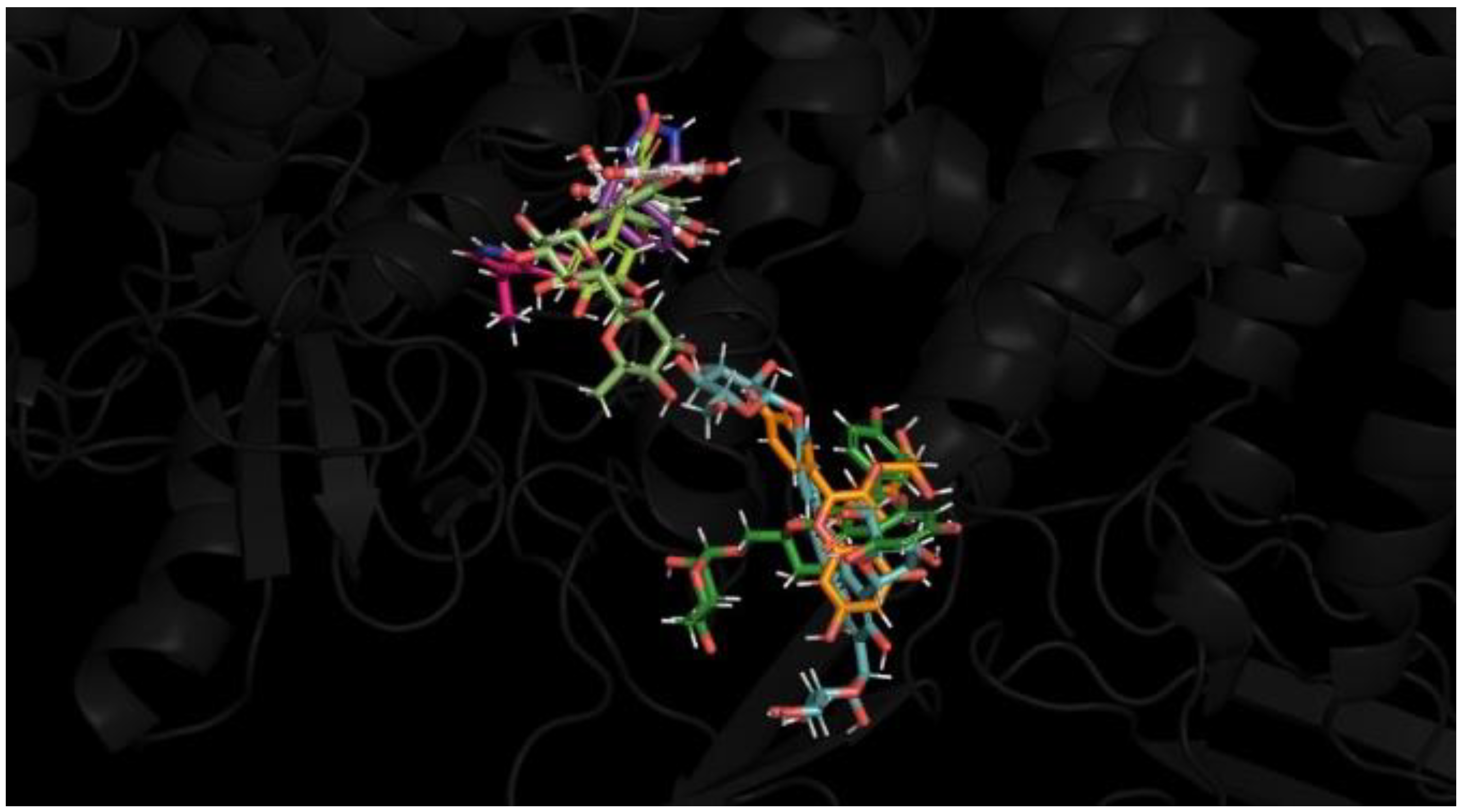 Brainsci 14 00545 g005