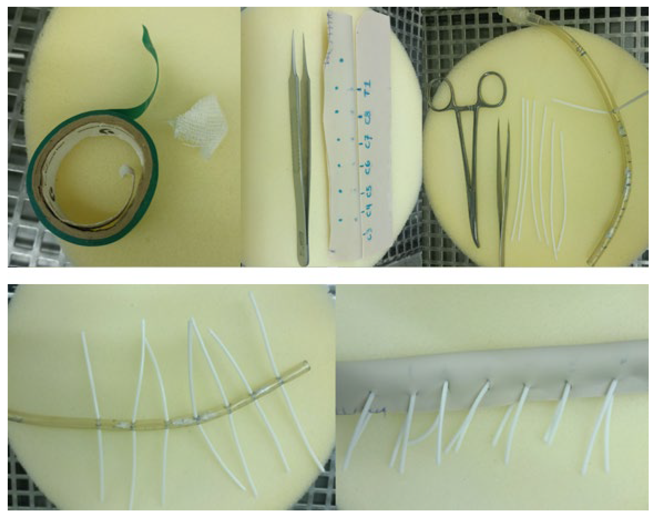 Brainsci 14 00547 g002