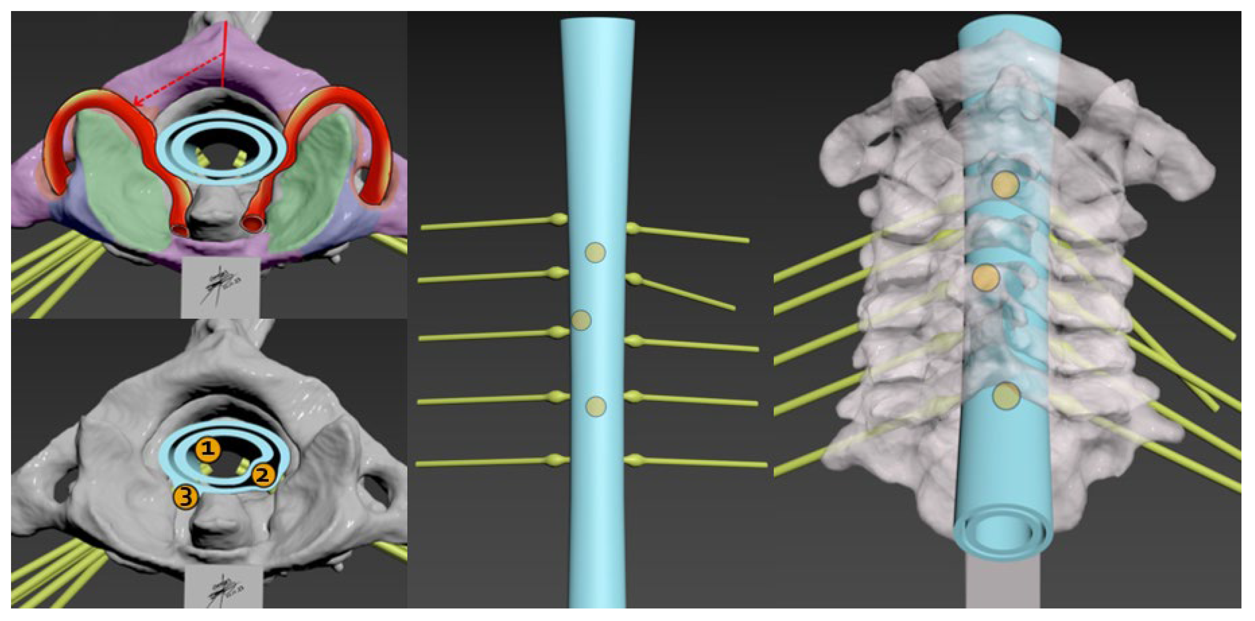 Brainsci 14 00547 g006