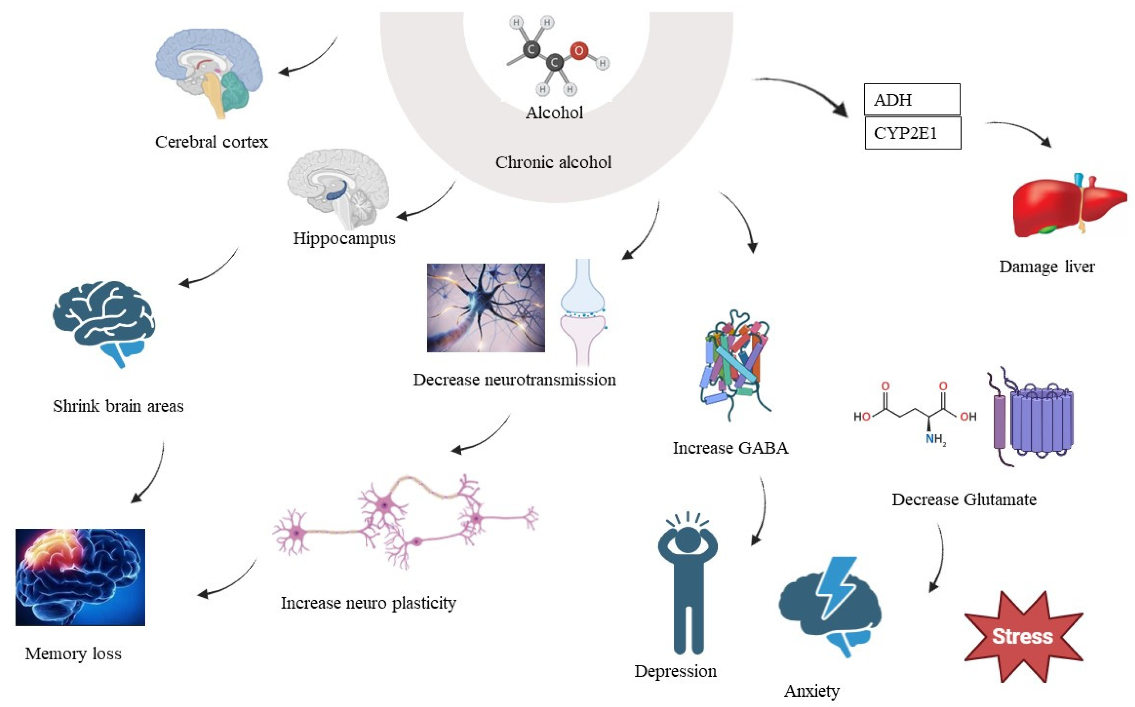 Brainsci 14 00554 g002 Brainsci 14 00554 g002