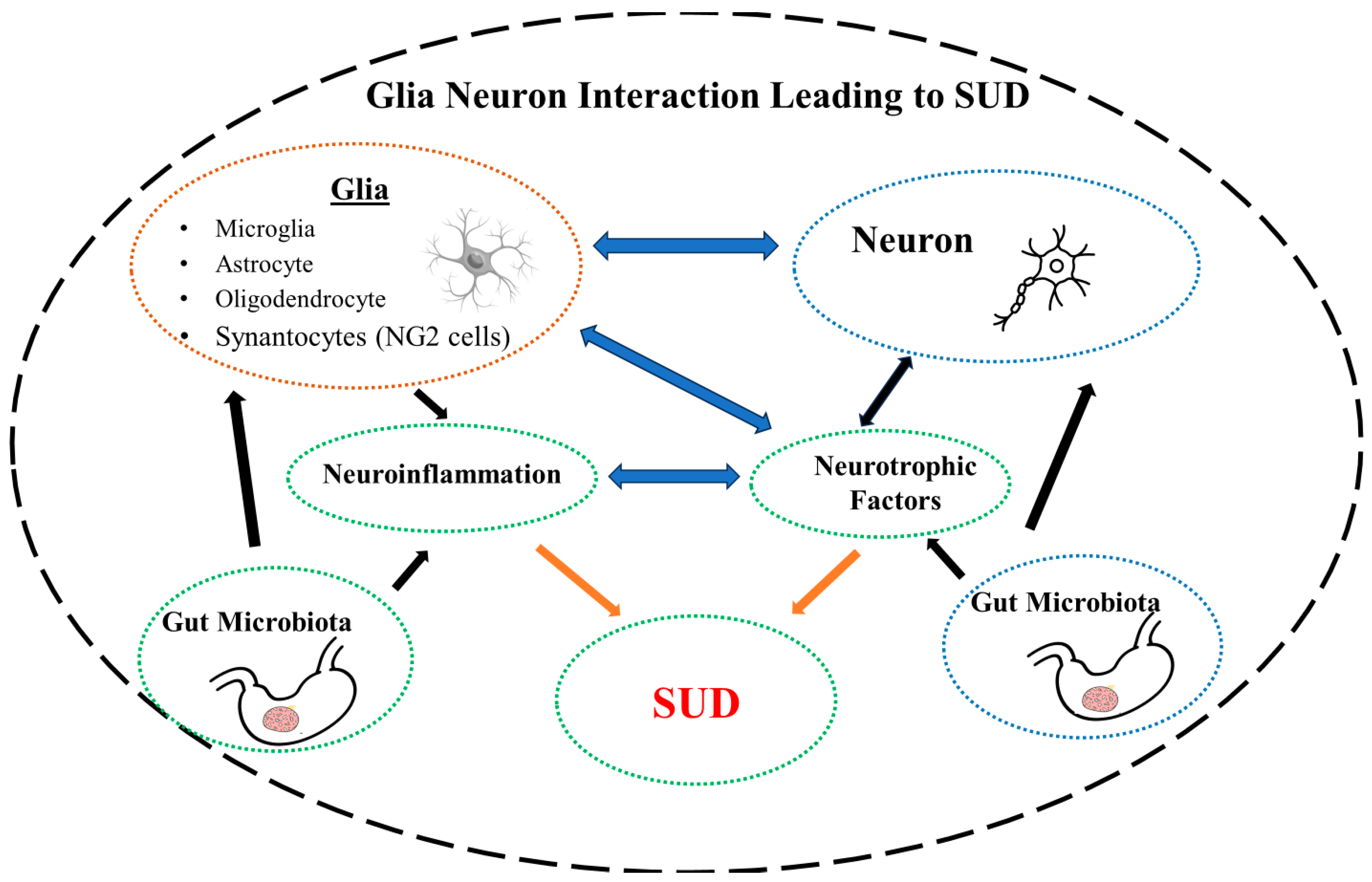Brainsci 14 00558 g002
